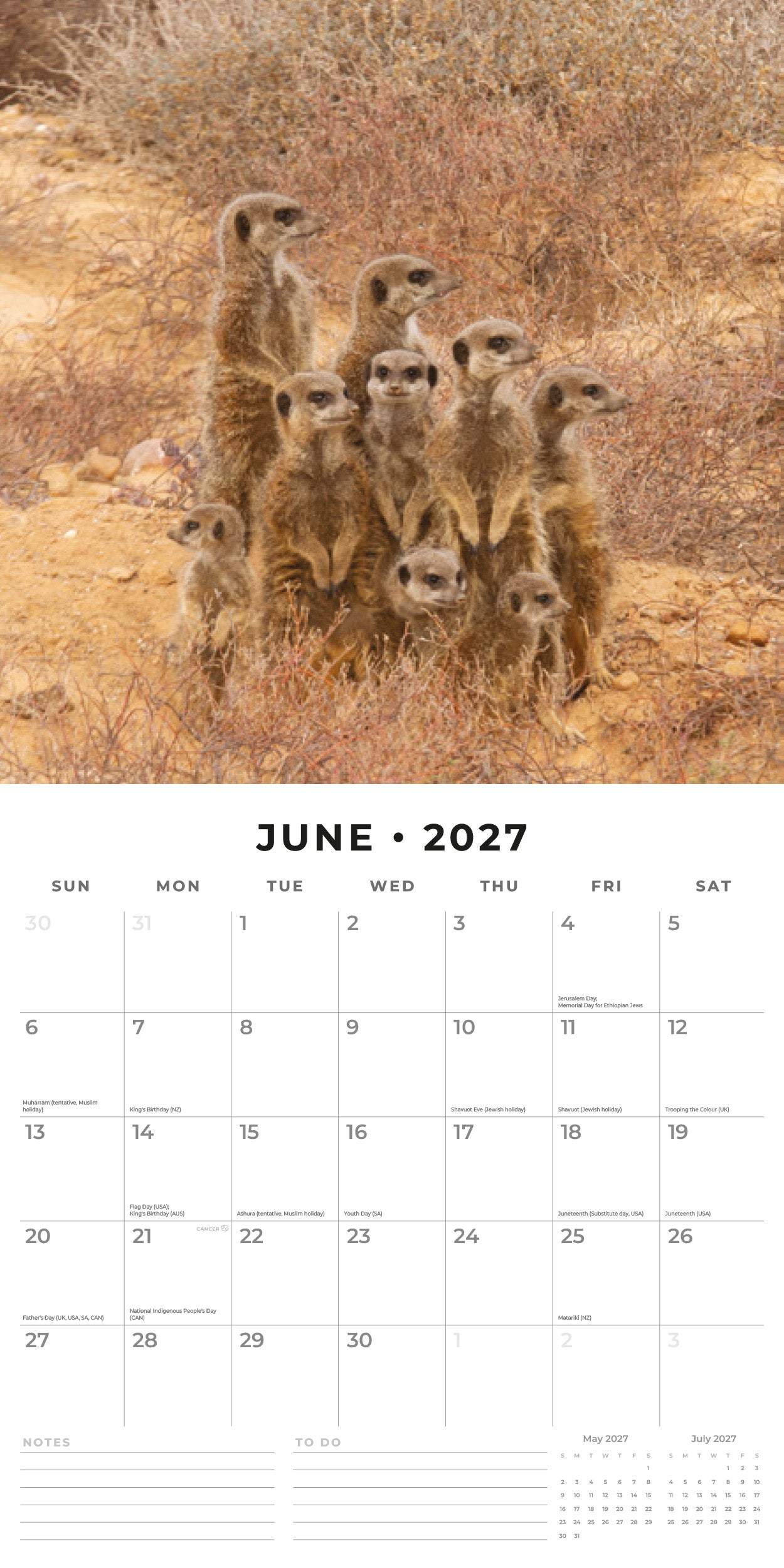 2027 Meerkats - Square Wall Calendar