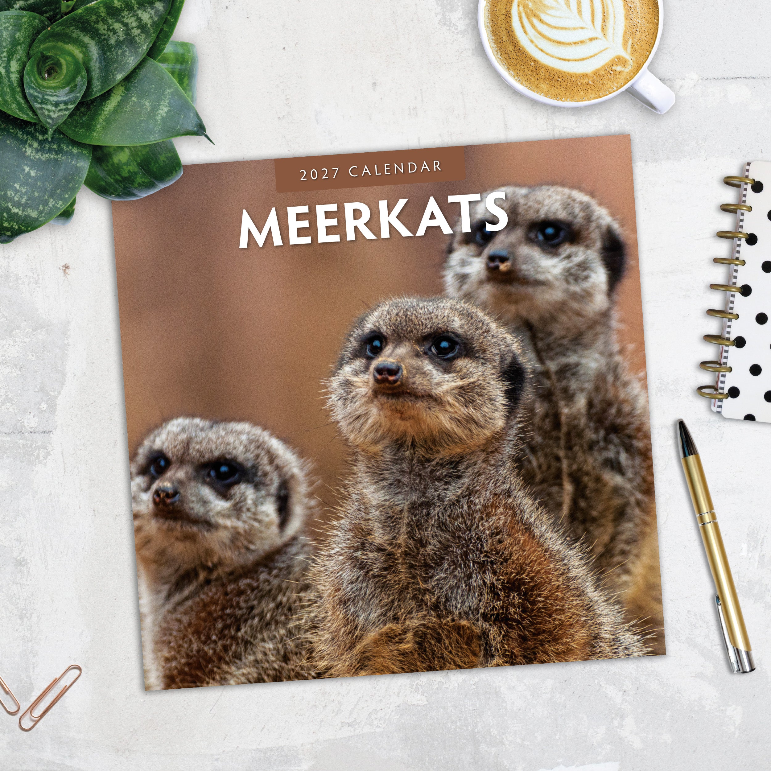 2027 Meerkats - Square Wall Calendar