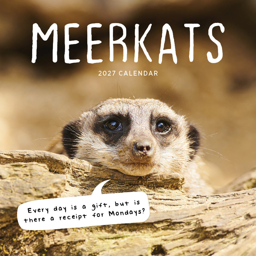 2027 Meerkats  - Square Wall Calendar