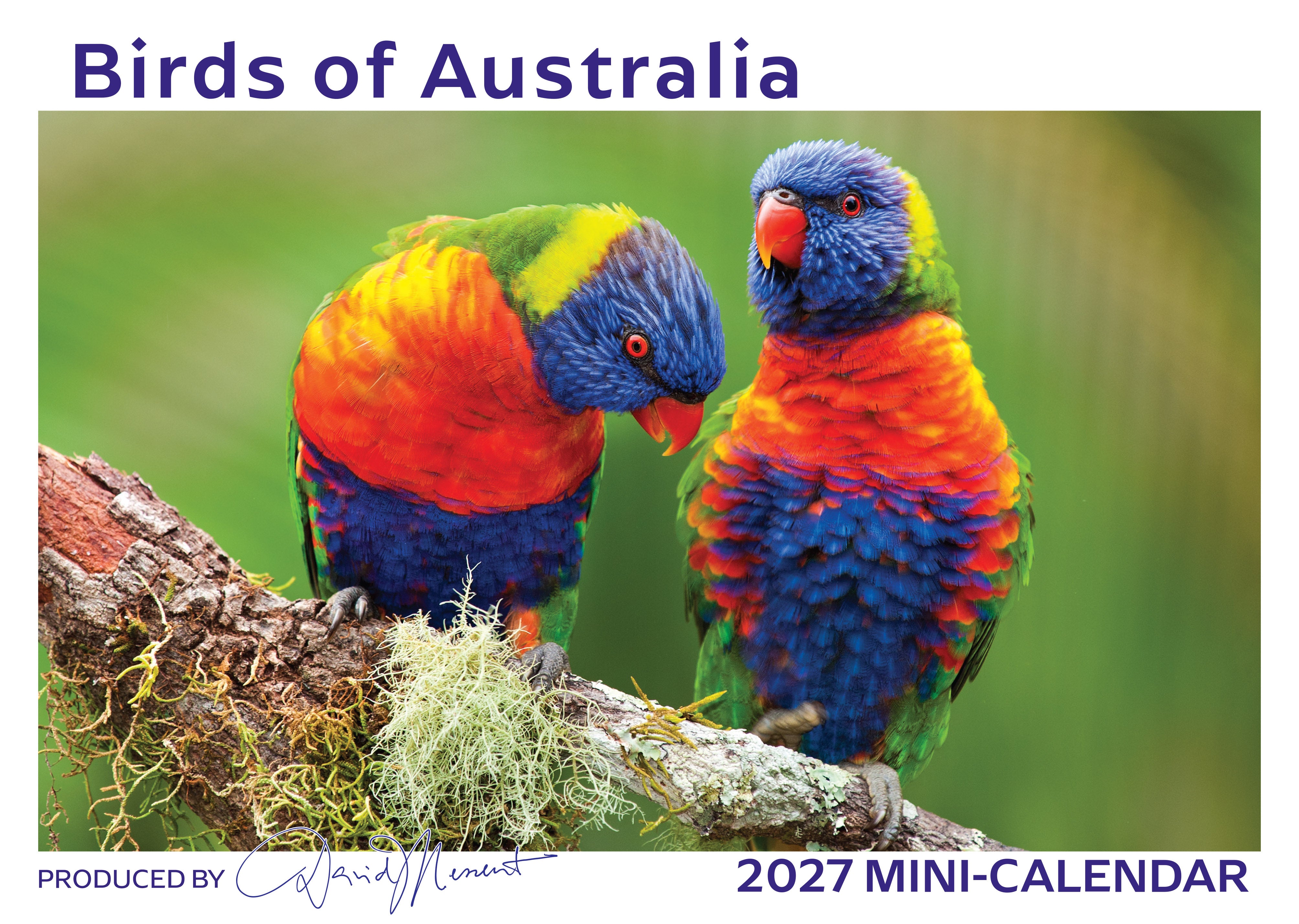 Mini_Birds_Front_9318306390277.jpg