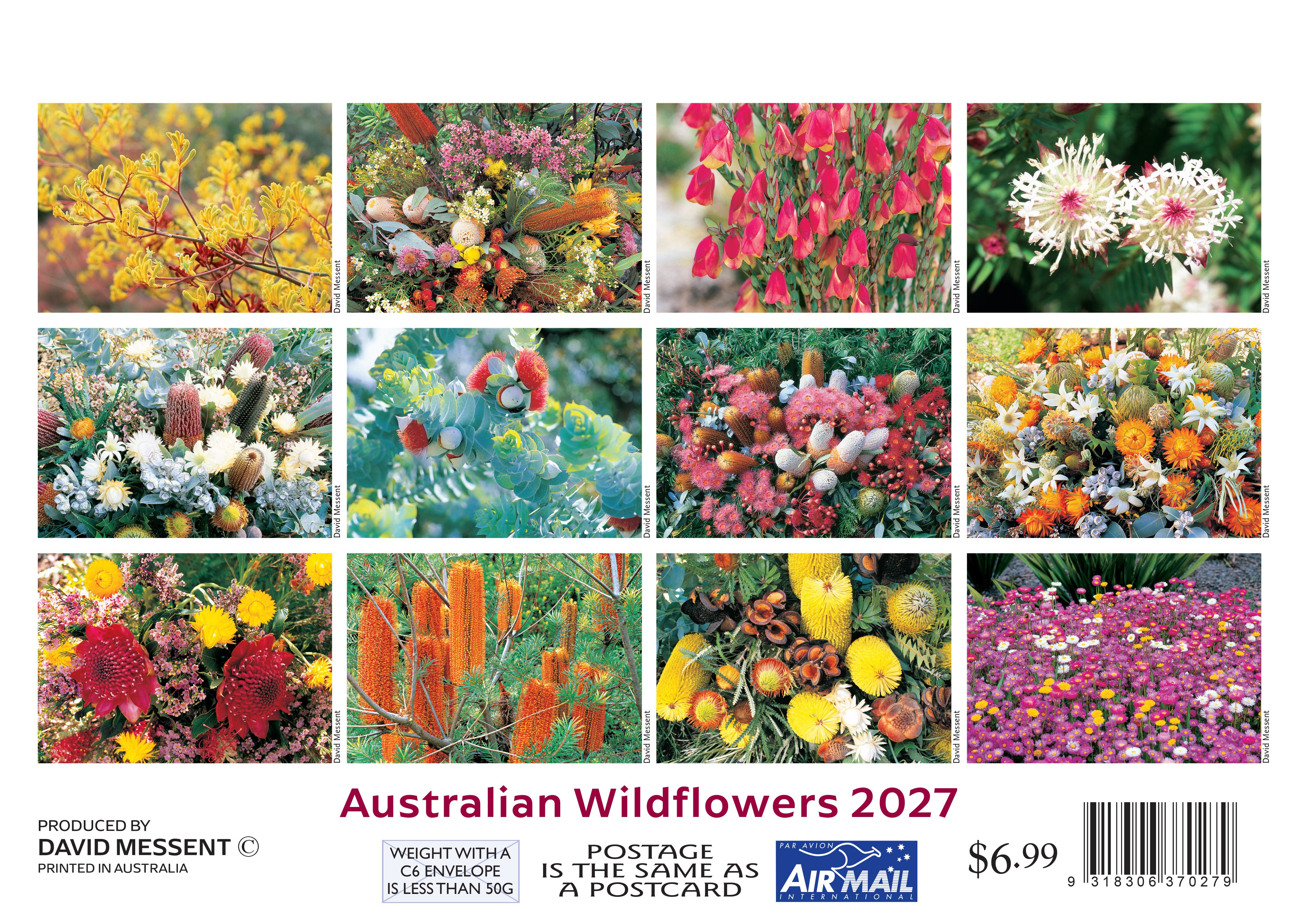 Mini_Wildflowers_Back_9318306370279.jpg