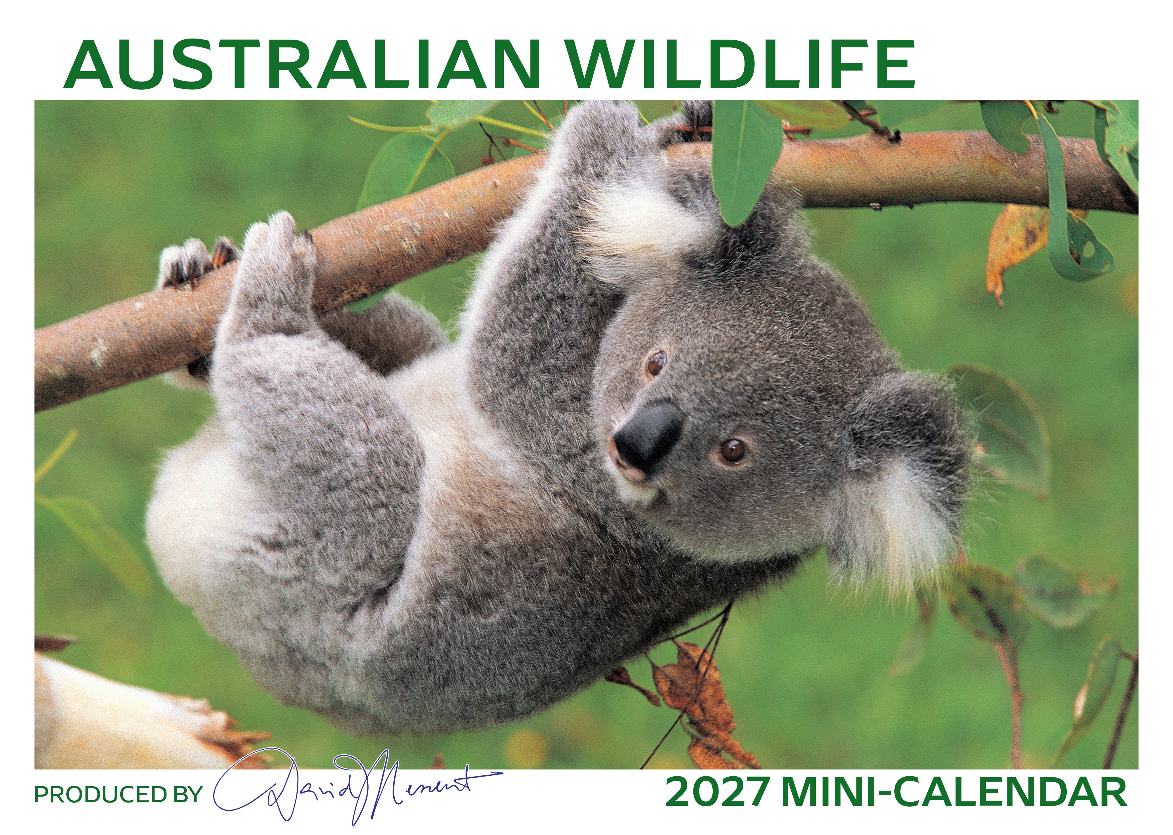 Mini_Wildlife_Front_9318306380278.jpg