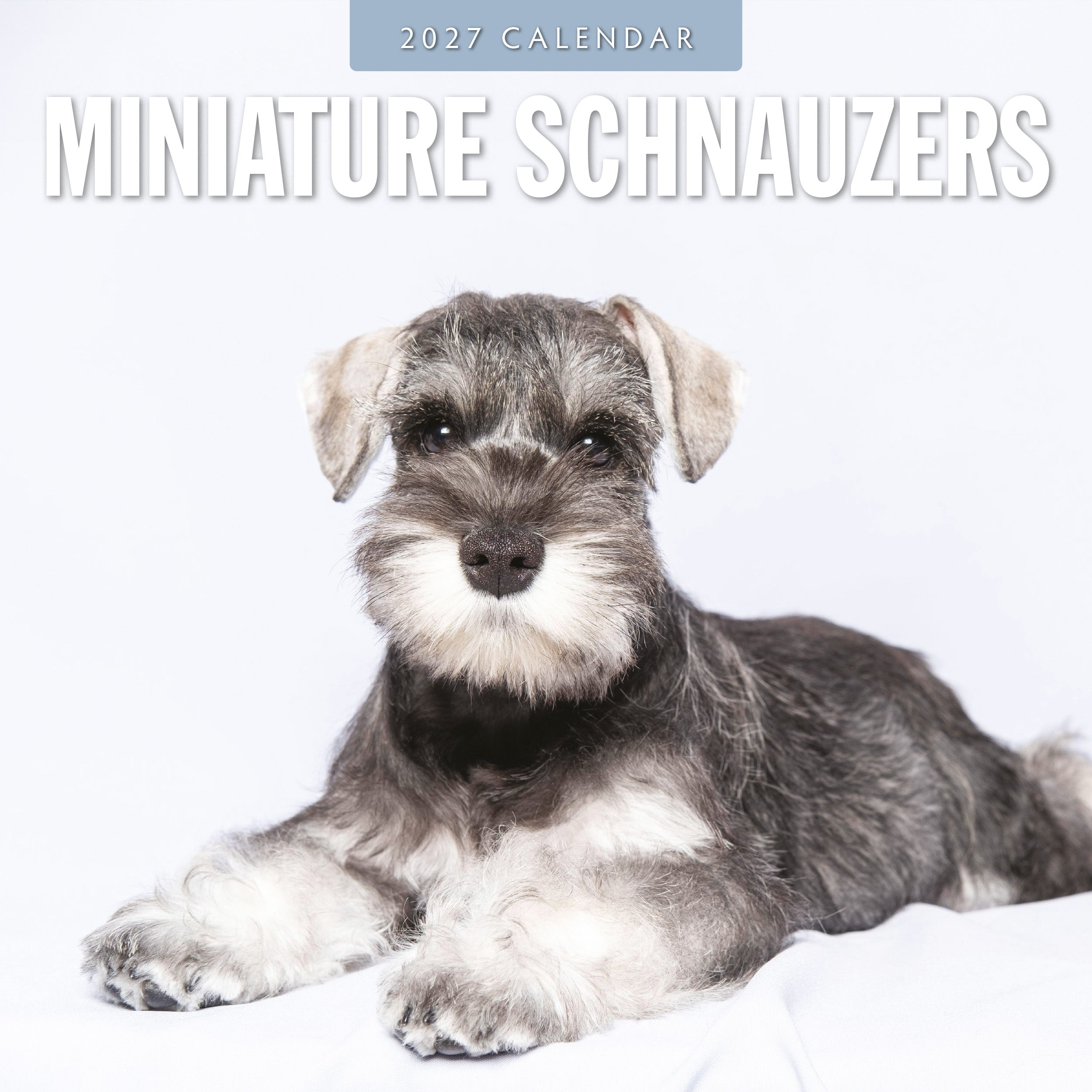 2027 Miniature Schnauzer - Square Wall Calendar