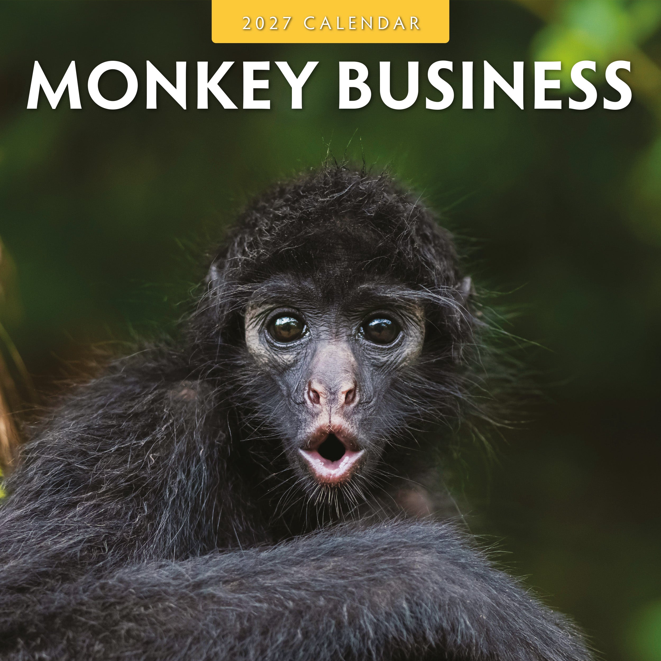 2027 Monkey Business - Square Wall Calendar