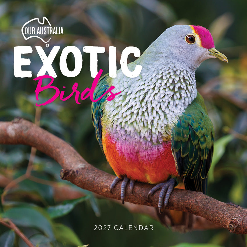 2027 Our Australia Exotic Birds - Square Wall Calendar