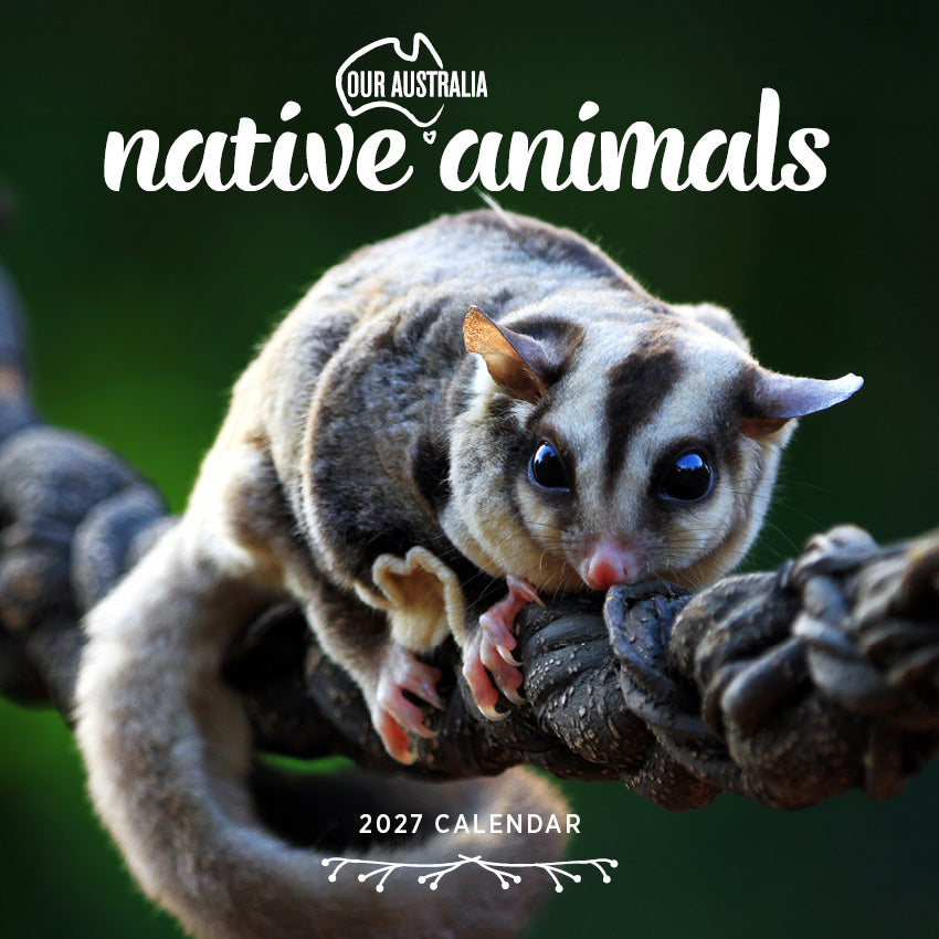 2027 Our Australia Native Animals - Square Wall Calendar