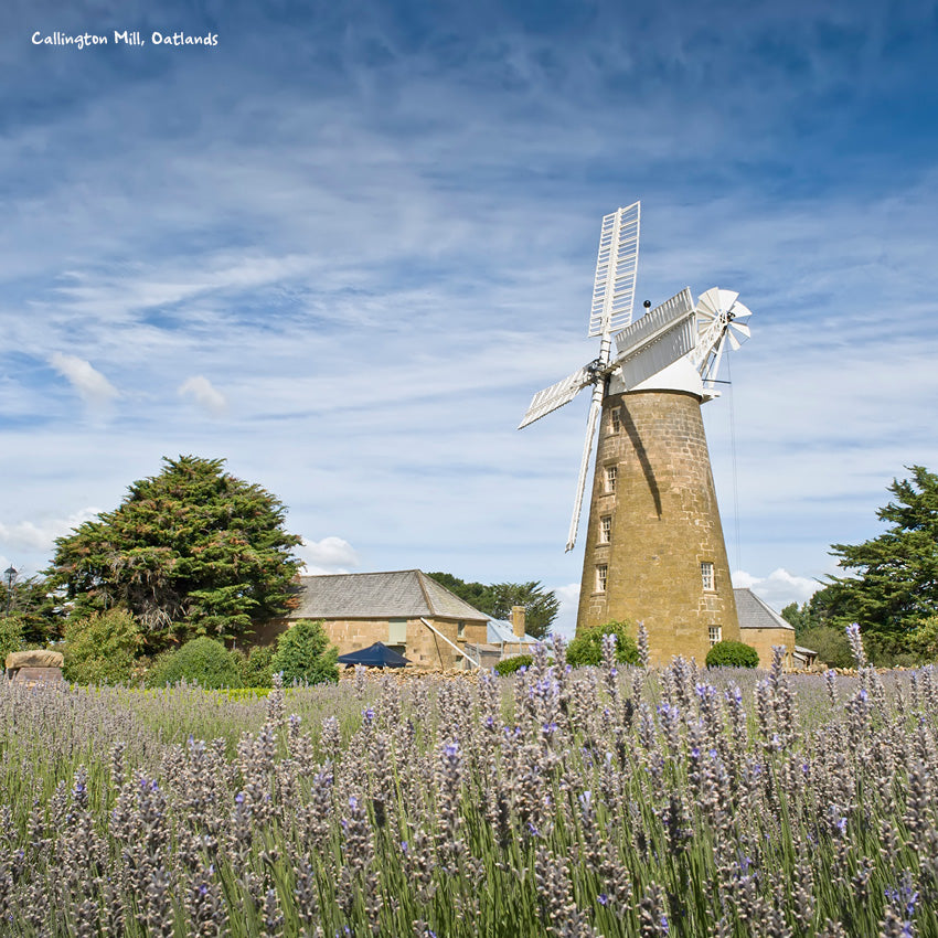 2027 Our Australia Tasmania - Square Wall Calendar
