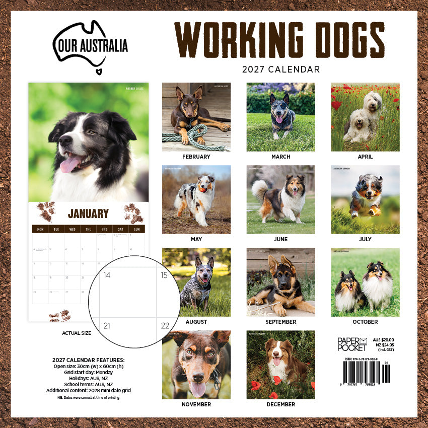 2027 Our Australia Working Dogs - Square Wall Calendar