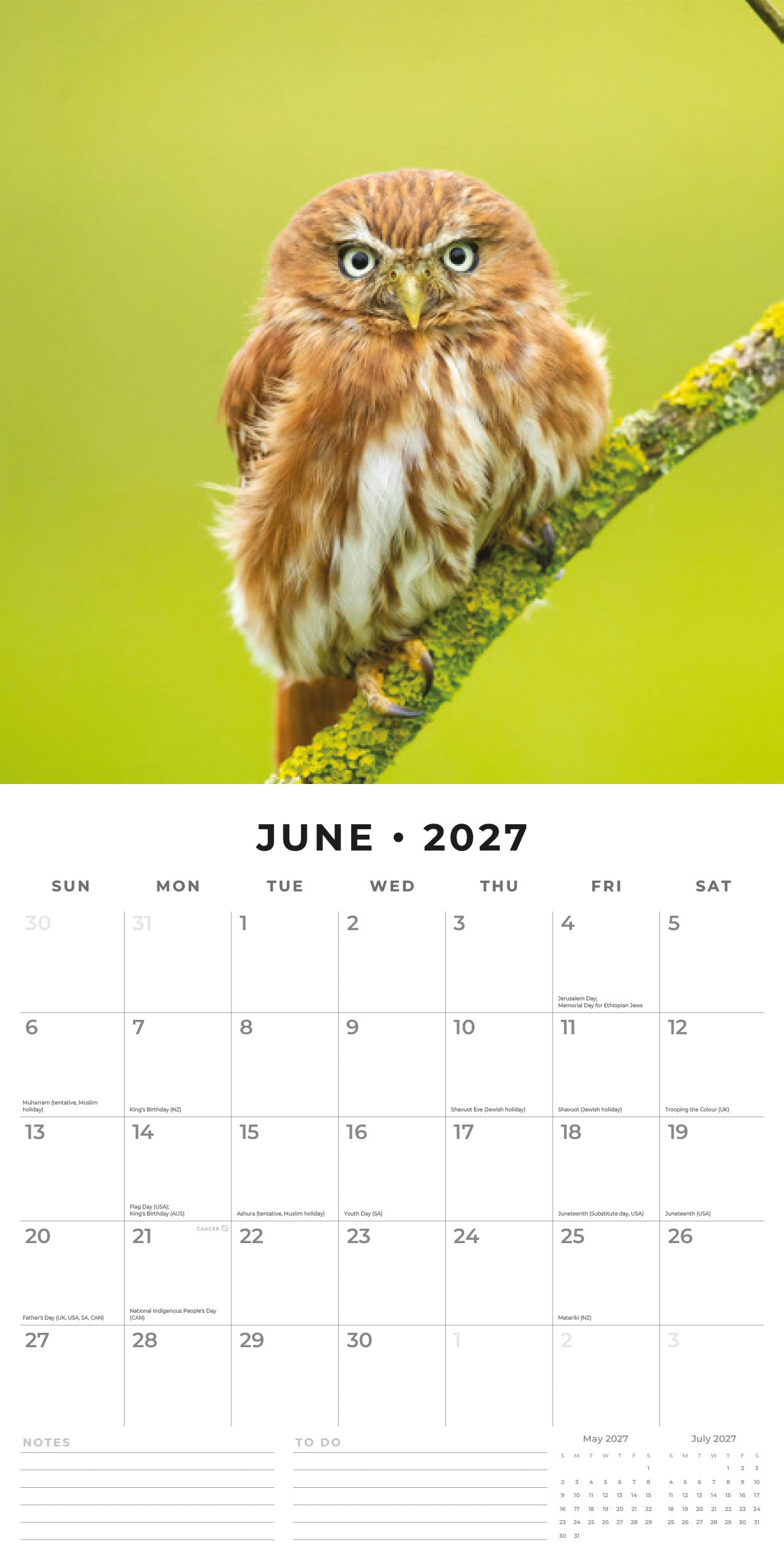 2027 Owls - Square Wall Calendar