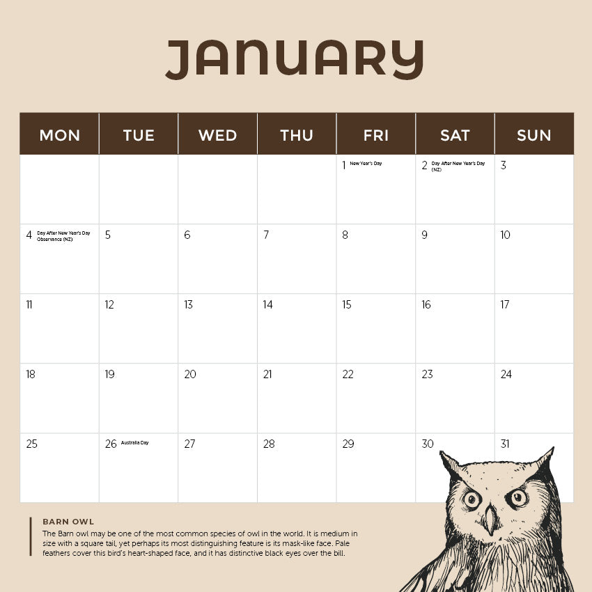 2027 Owls  - Square Wall Calendar