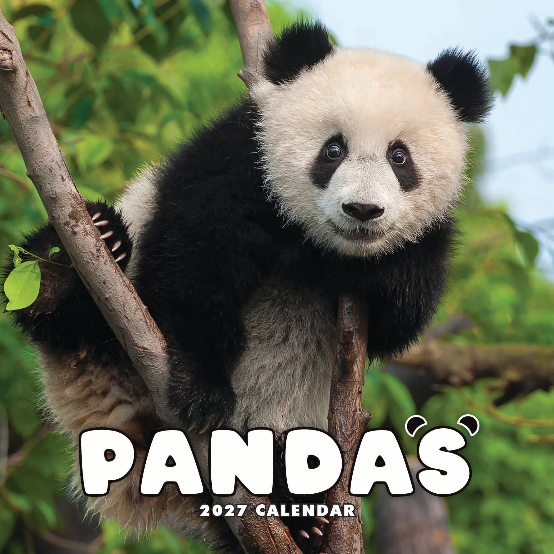 2027 Pandas - Square Wall Calendar