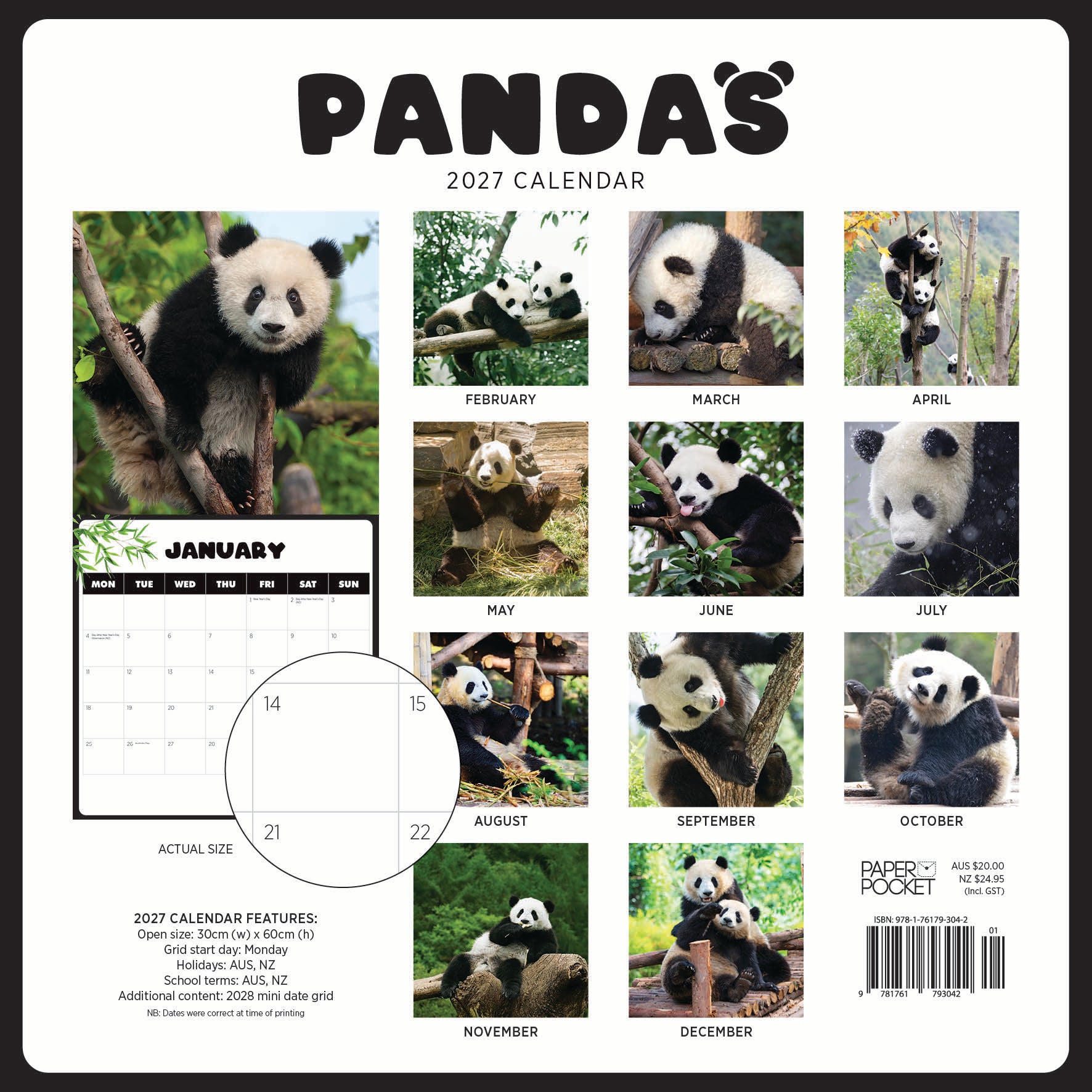 2027 Pandas - Square Wall Calendar
