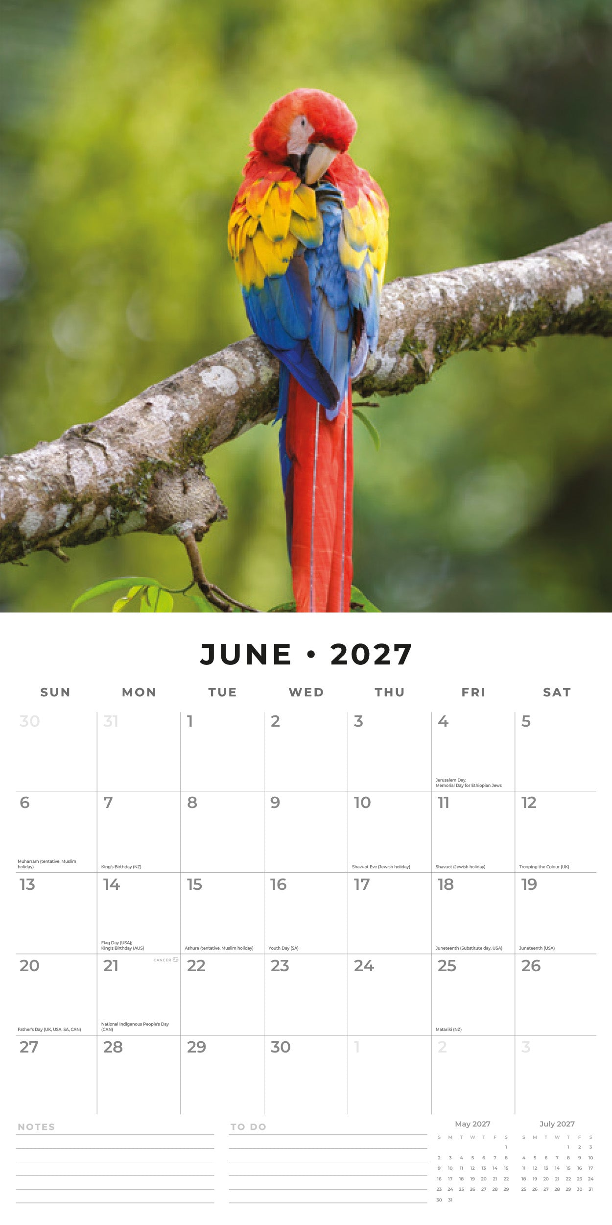 2027 Parrots - Square Wall Calendar