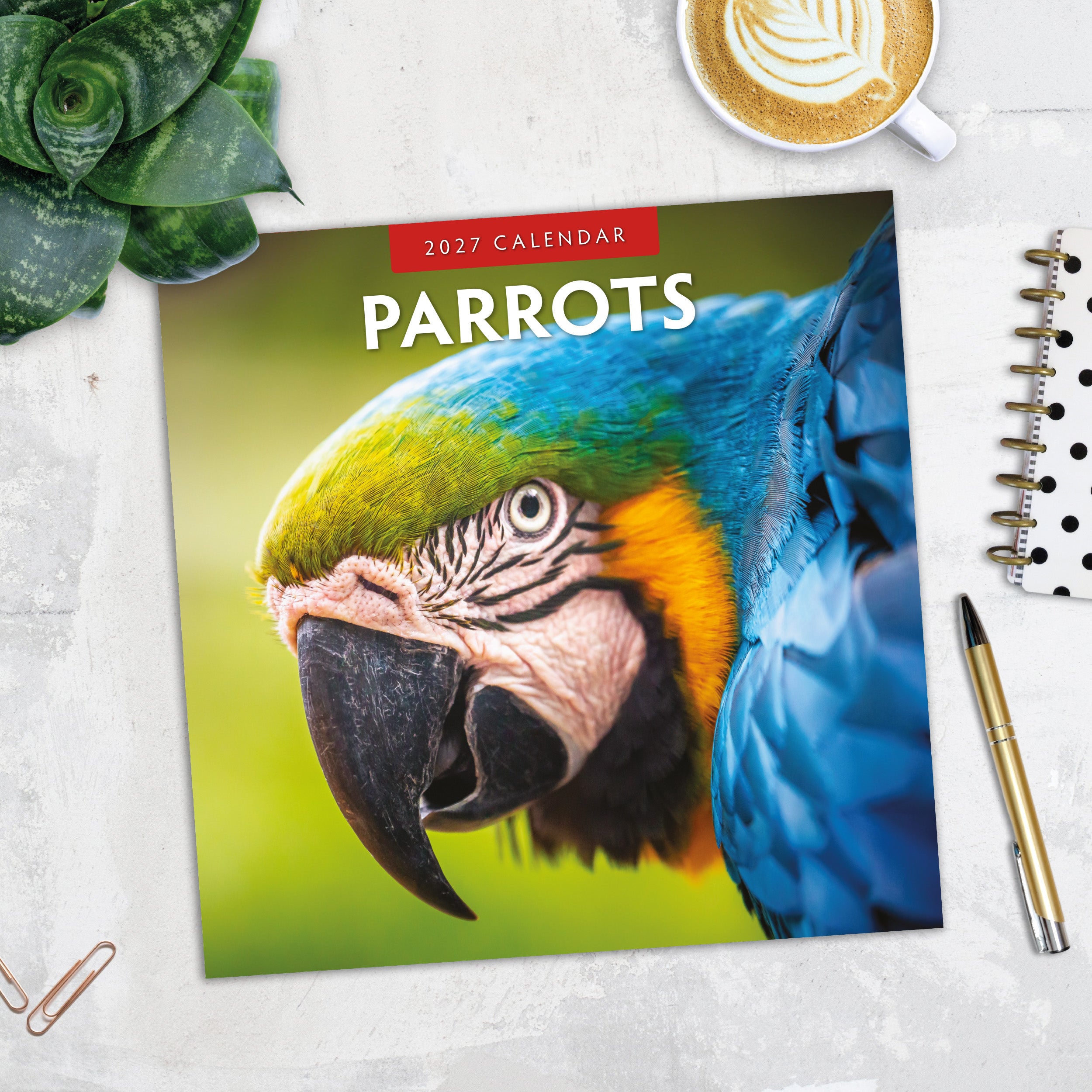 2027 Parrots - Square Wall Calendar