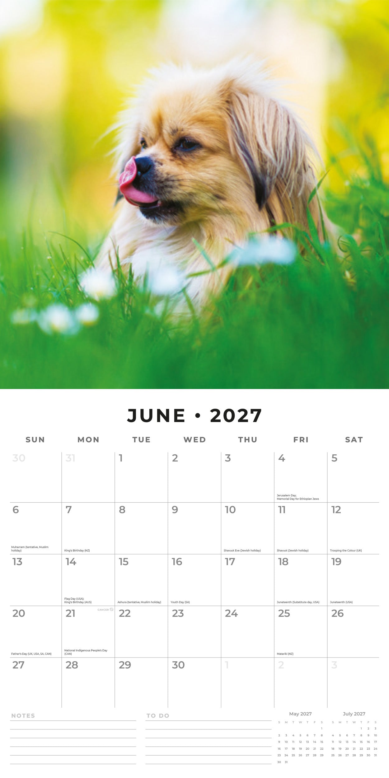 2027 Pekingese - Square Wall Calendar