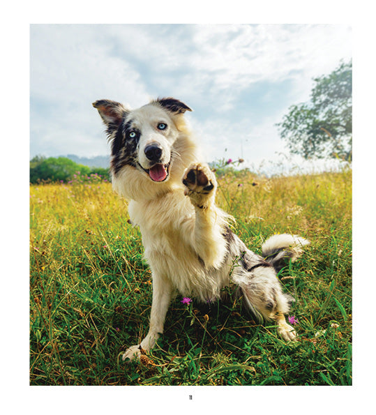 2027 Dogs Life - Weekly Diary/Planner