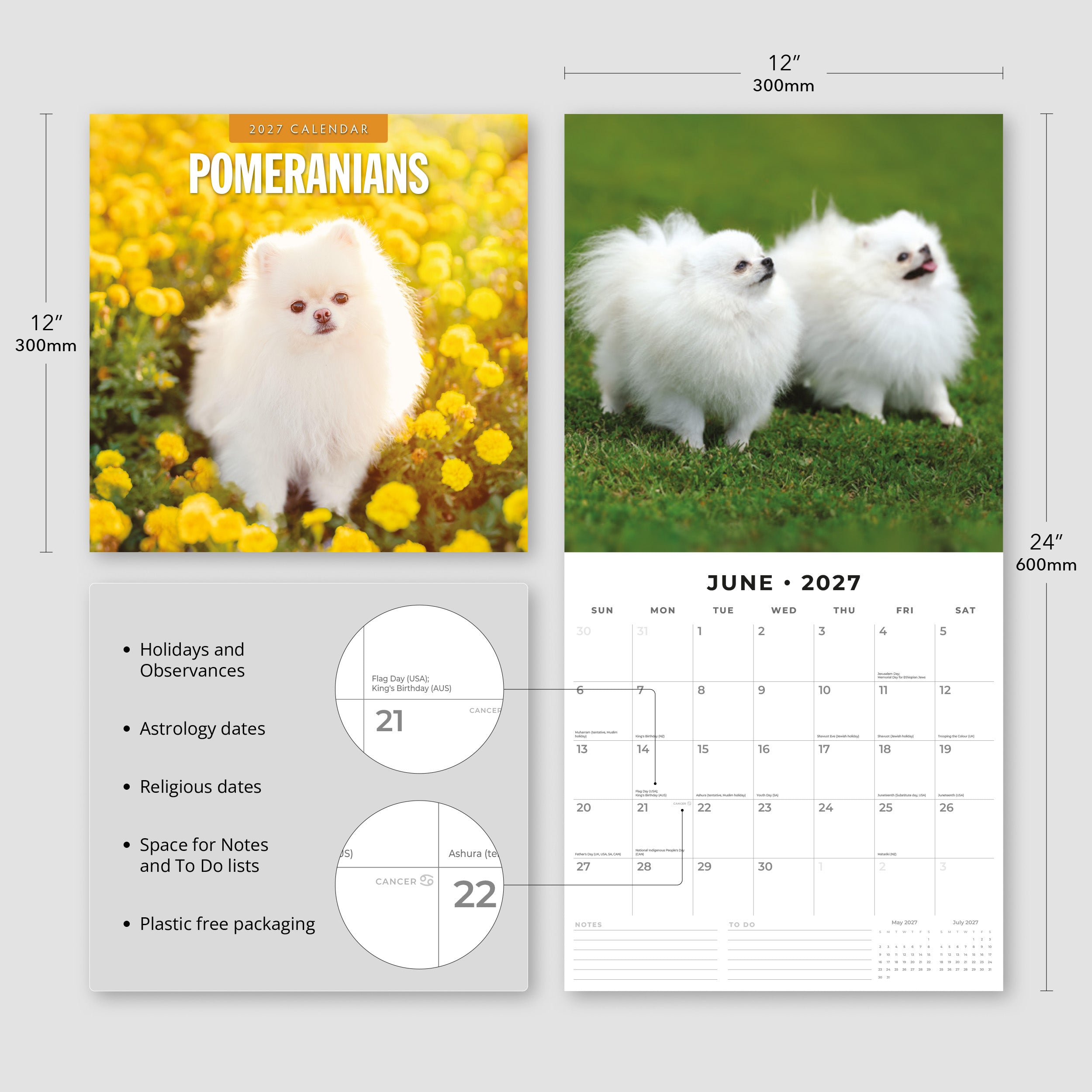 2027 Pomeranians - Square Wall Calendar