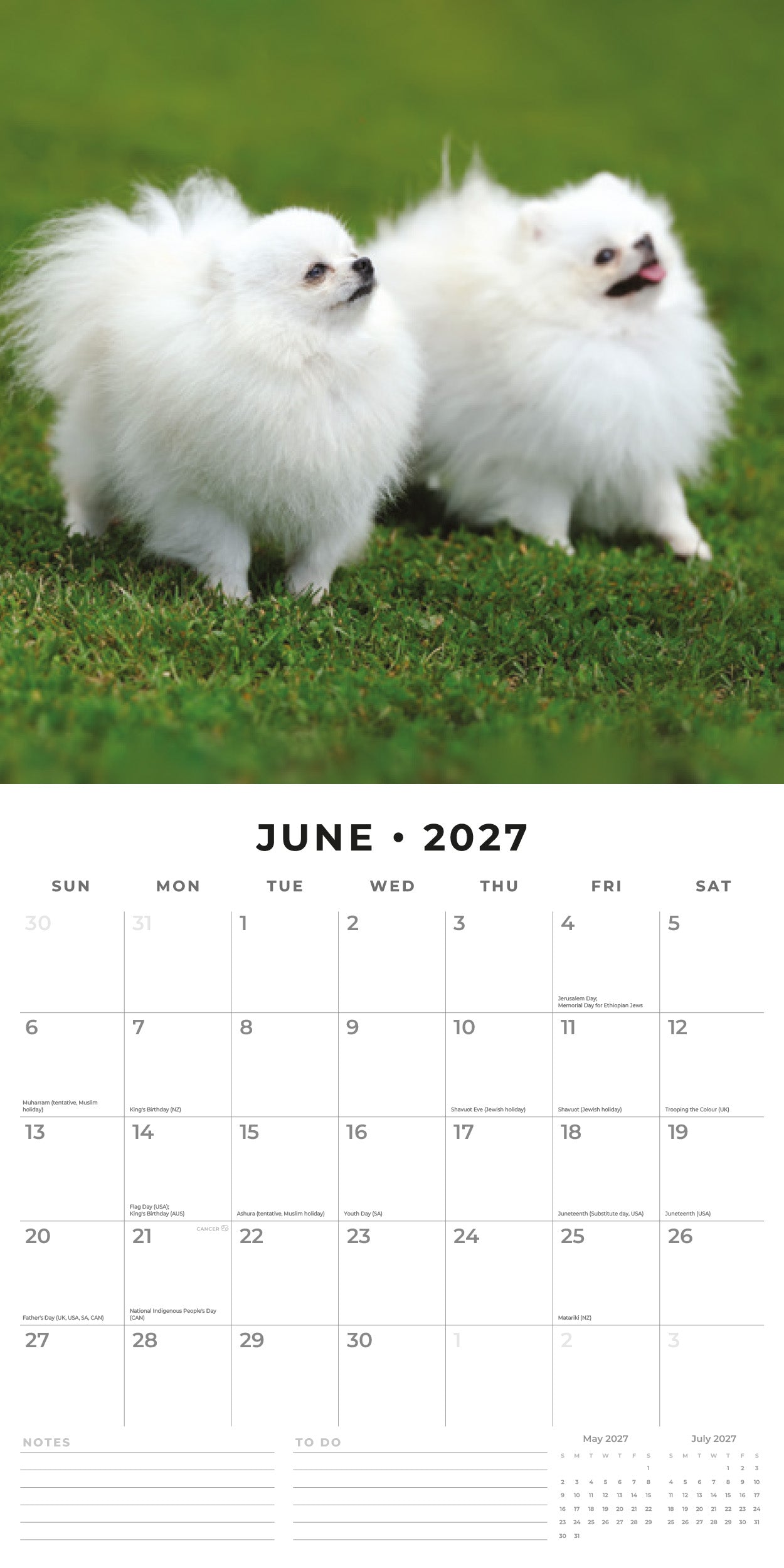 2027 Pomeranians - Square Wall Calendar