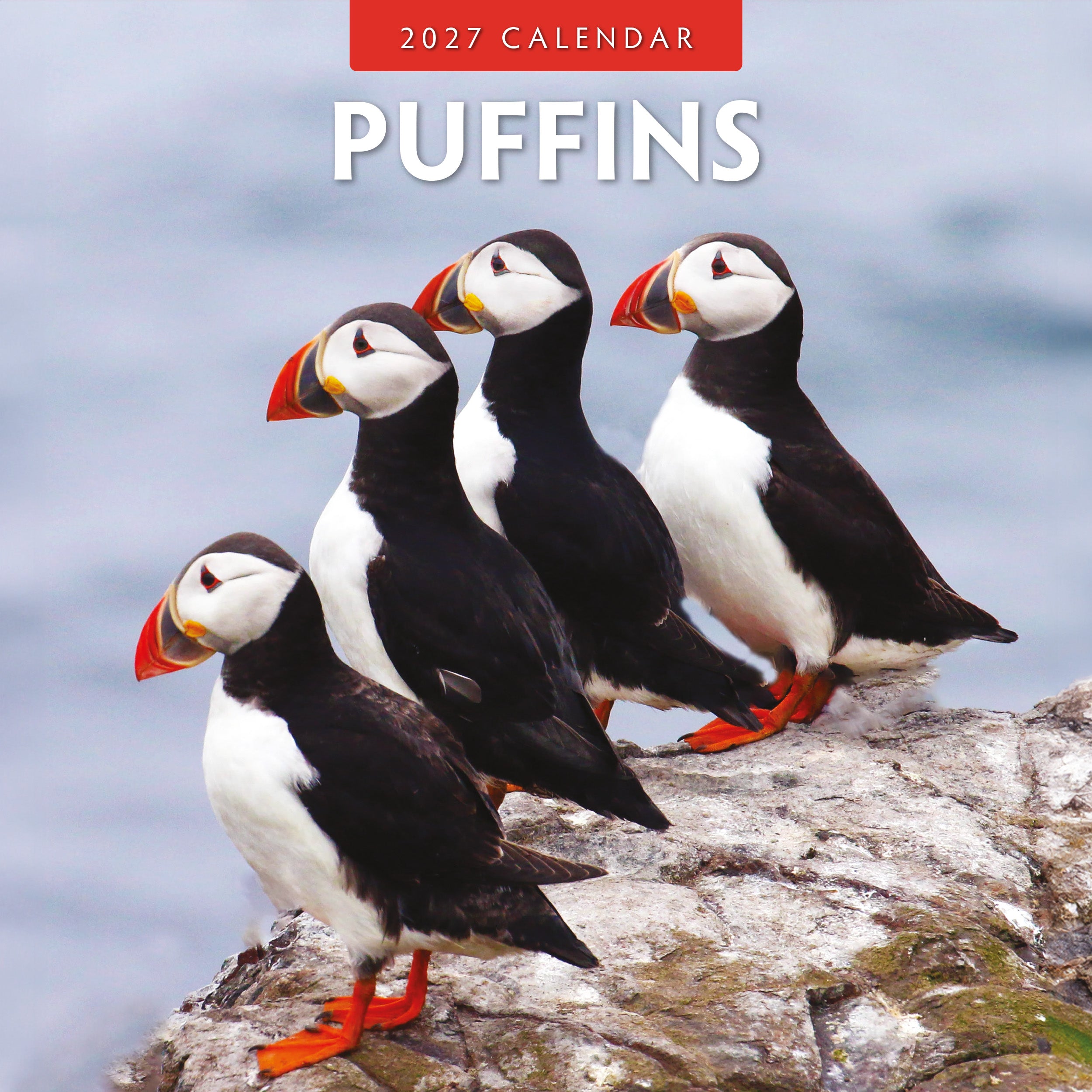 2027 Puffins - Square Wall Calendar