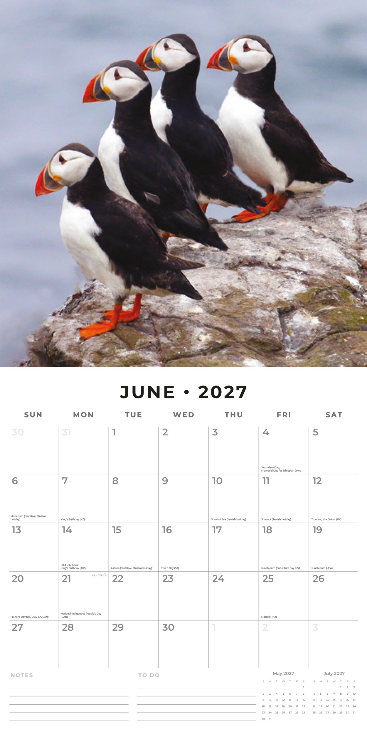 2027 Puffins - Square Wall Calendar