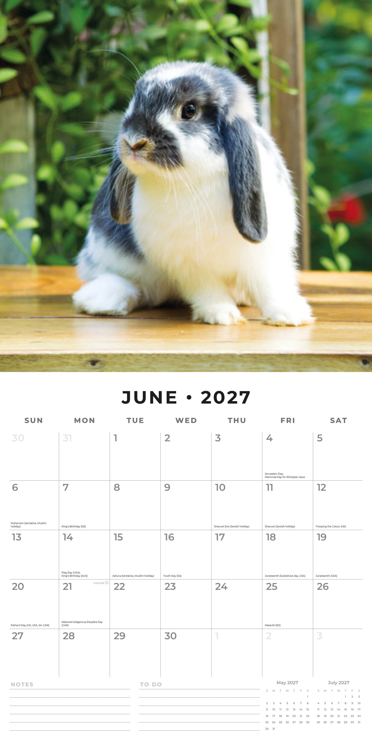 2027 Rabbits - Square Wall Calendar