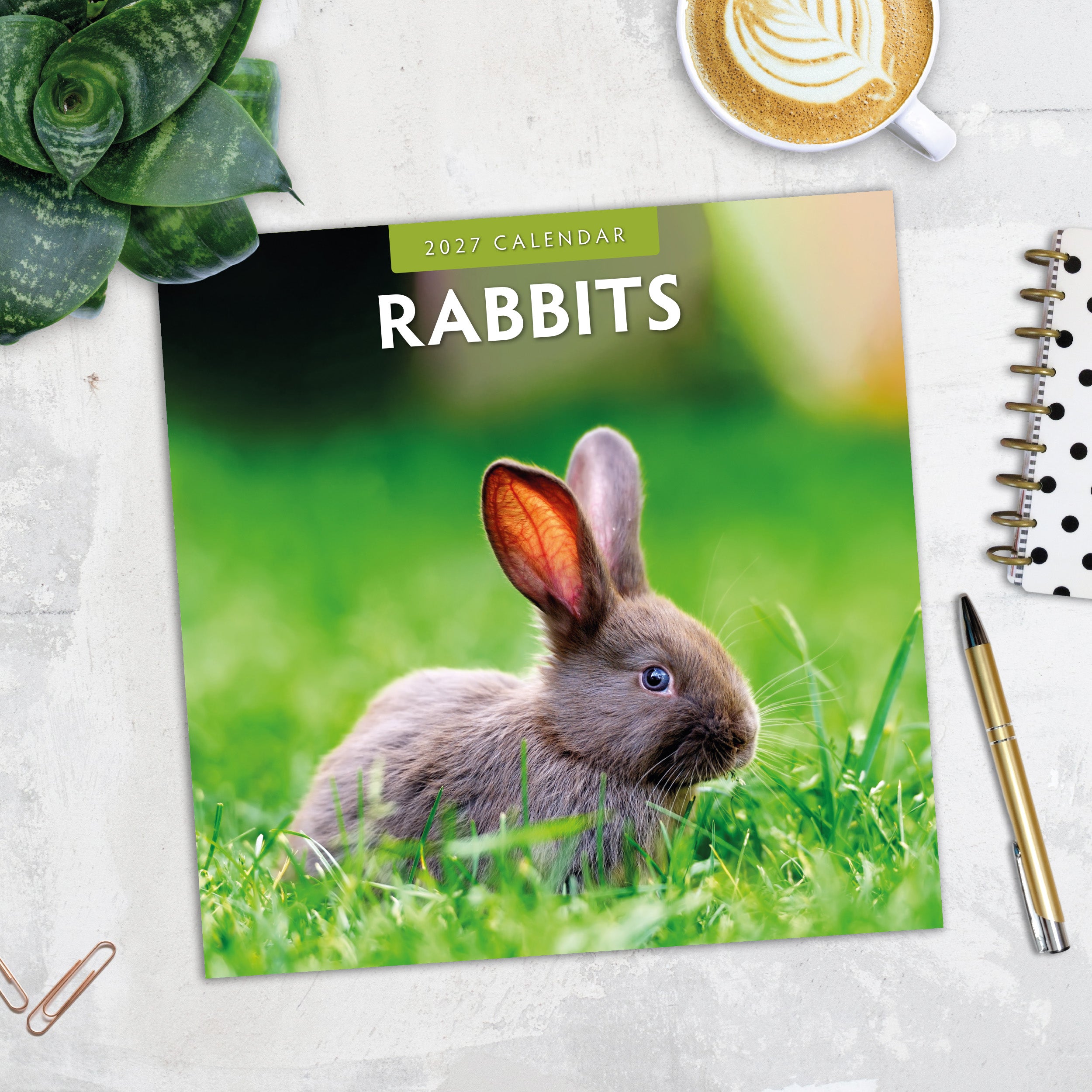 2027 Rabbits - Square Wall Calendar
