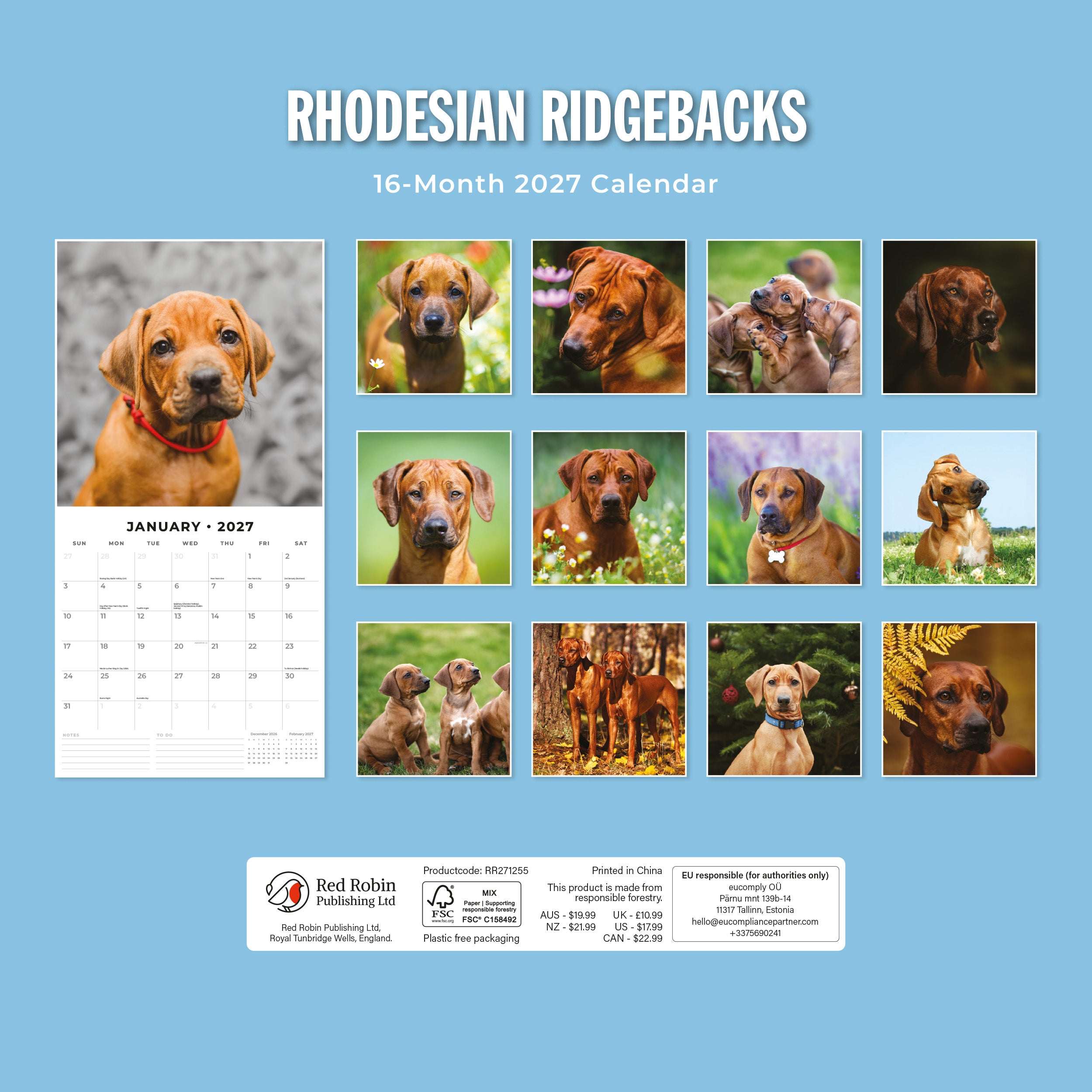 2027 Rhodesian Ridgebacks - Square Wall Calendar
