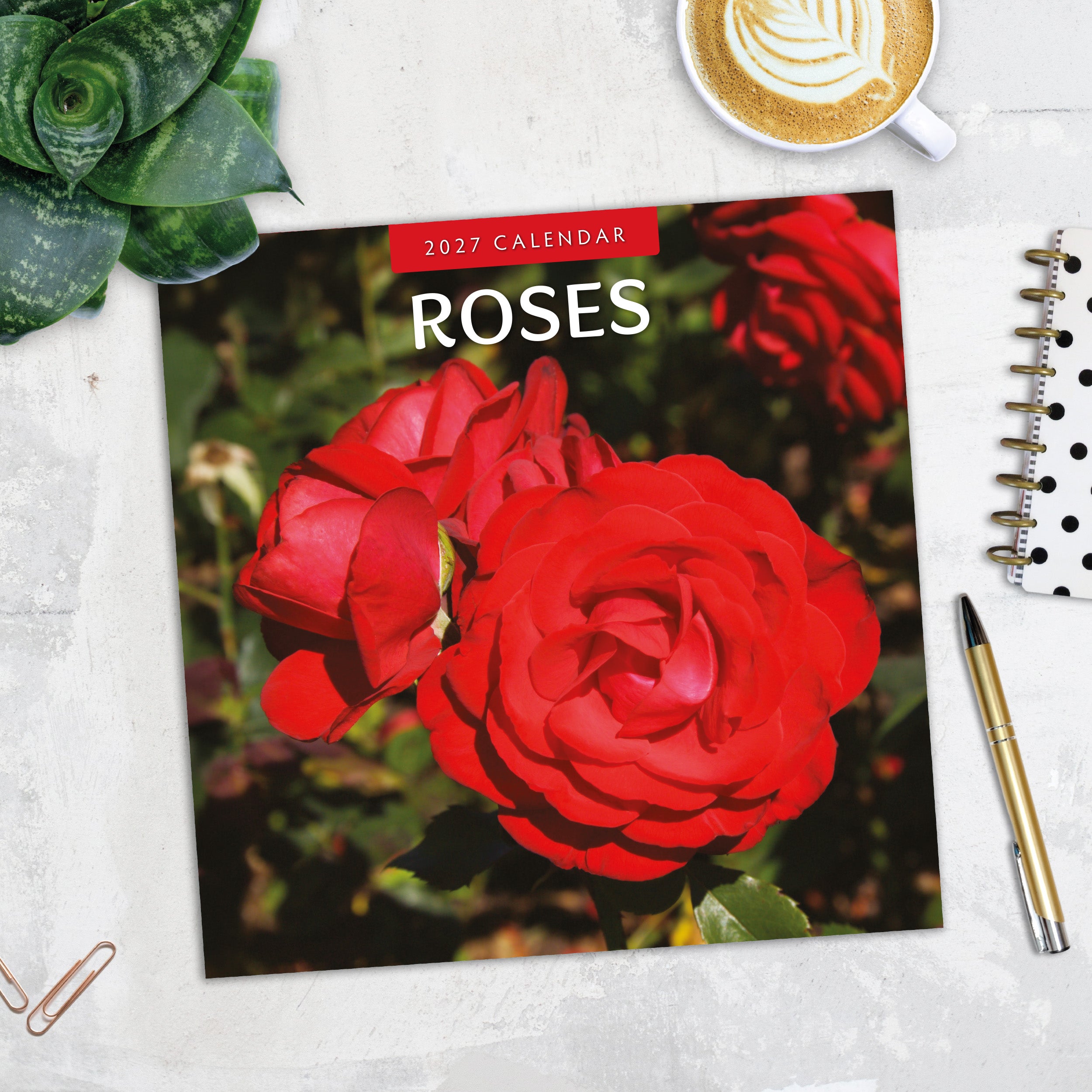 2027 Roses - Square Wall Calendar