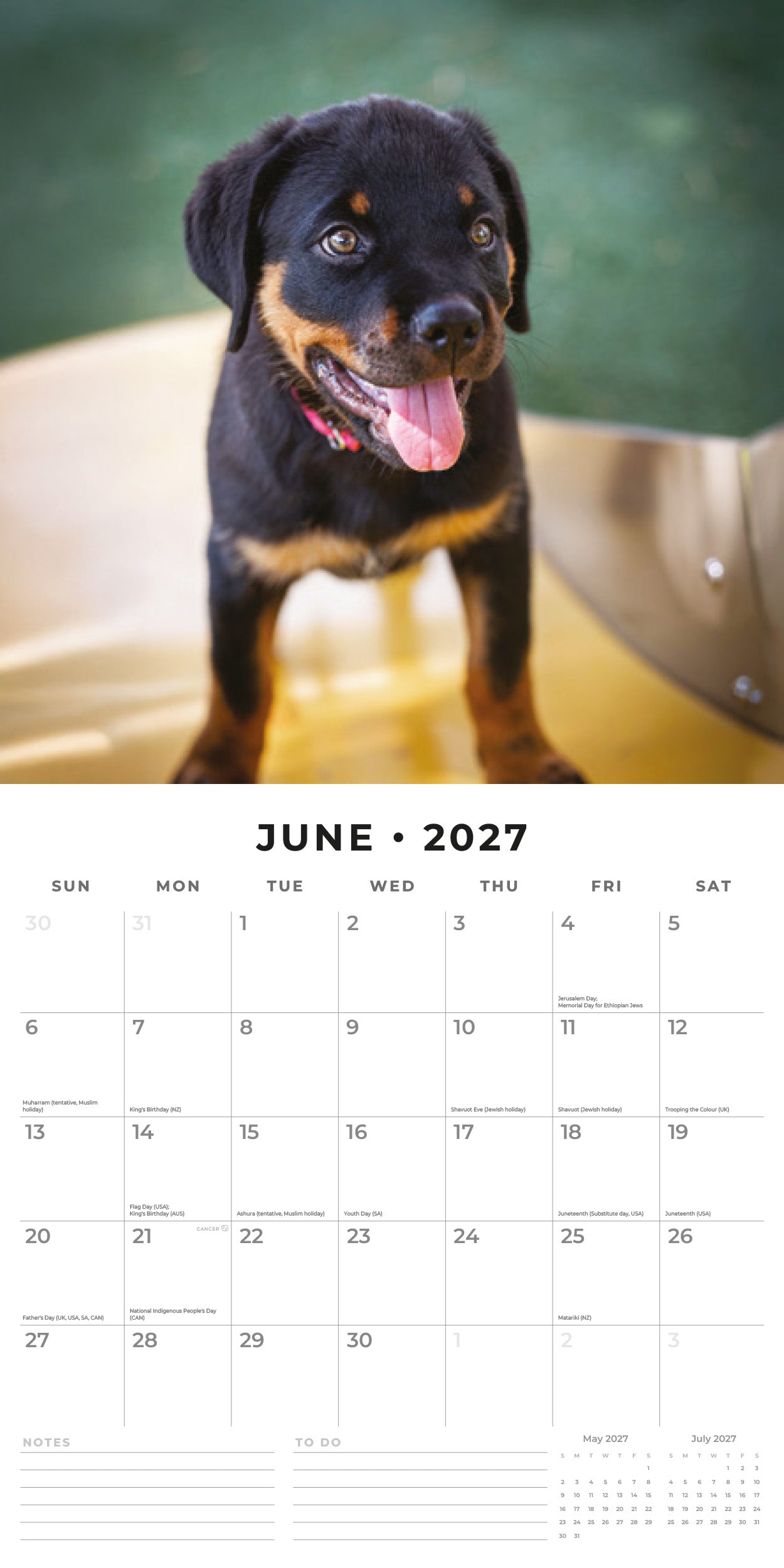 2027 Rottweiler Puppies - Square Wall Calendar