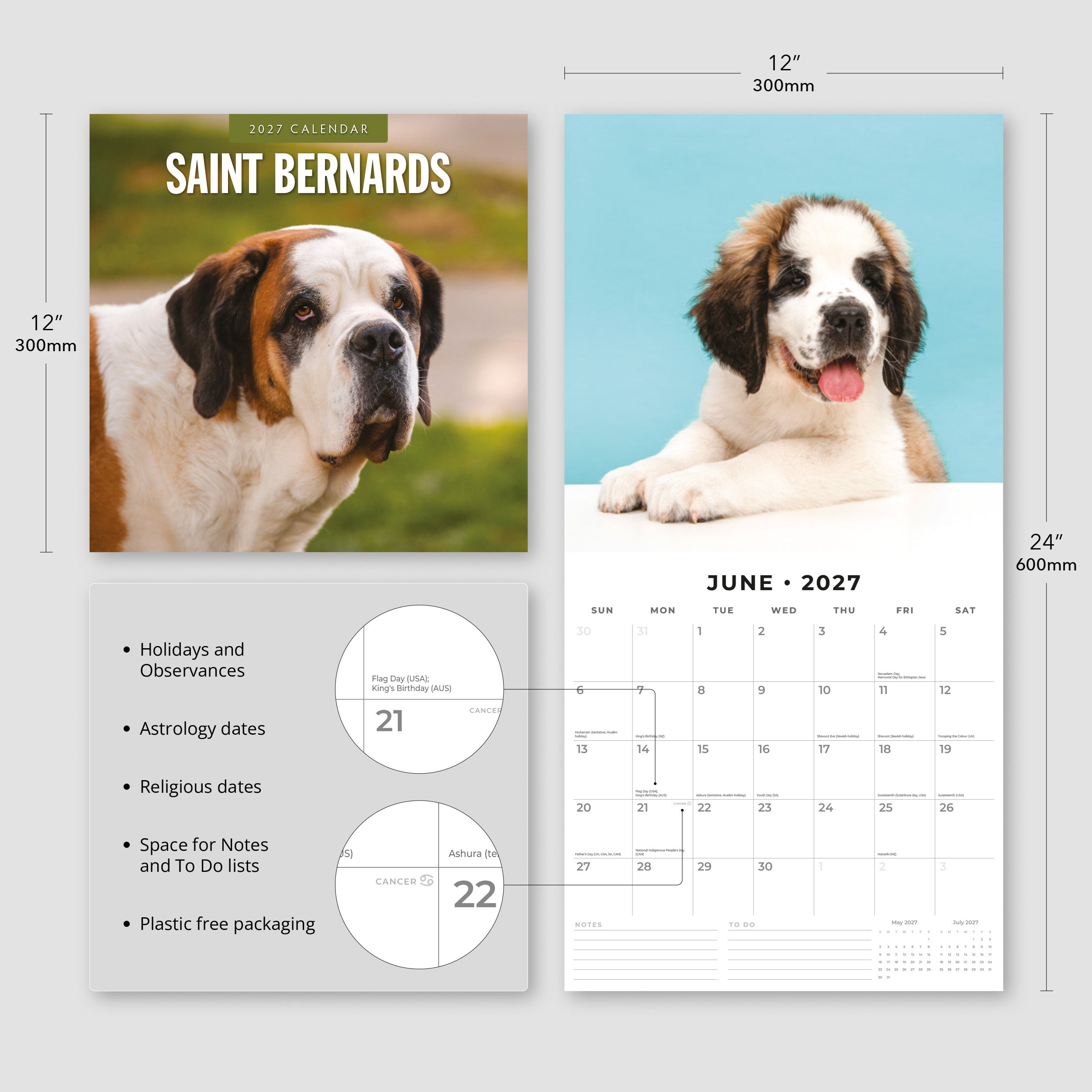 2027 Saint Bernards - Square Wall Calendar