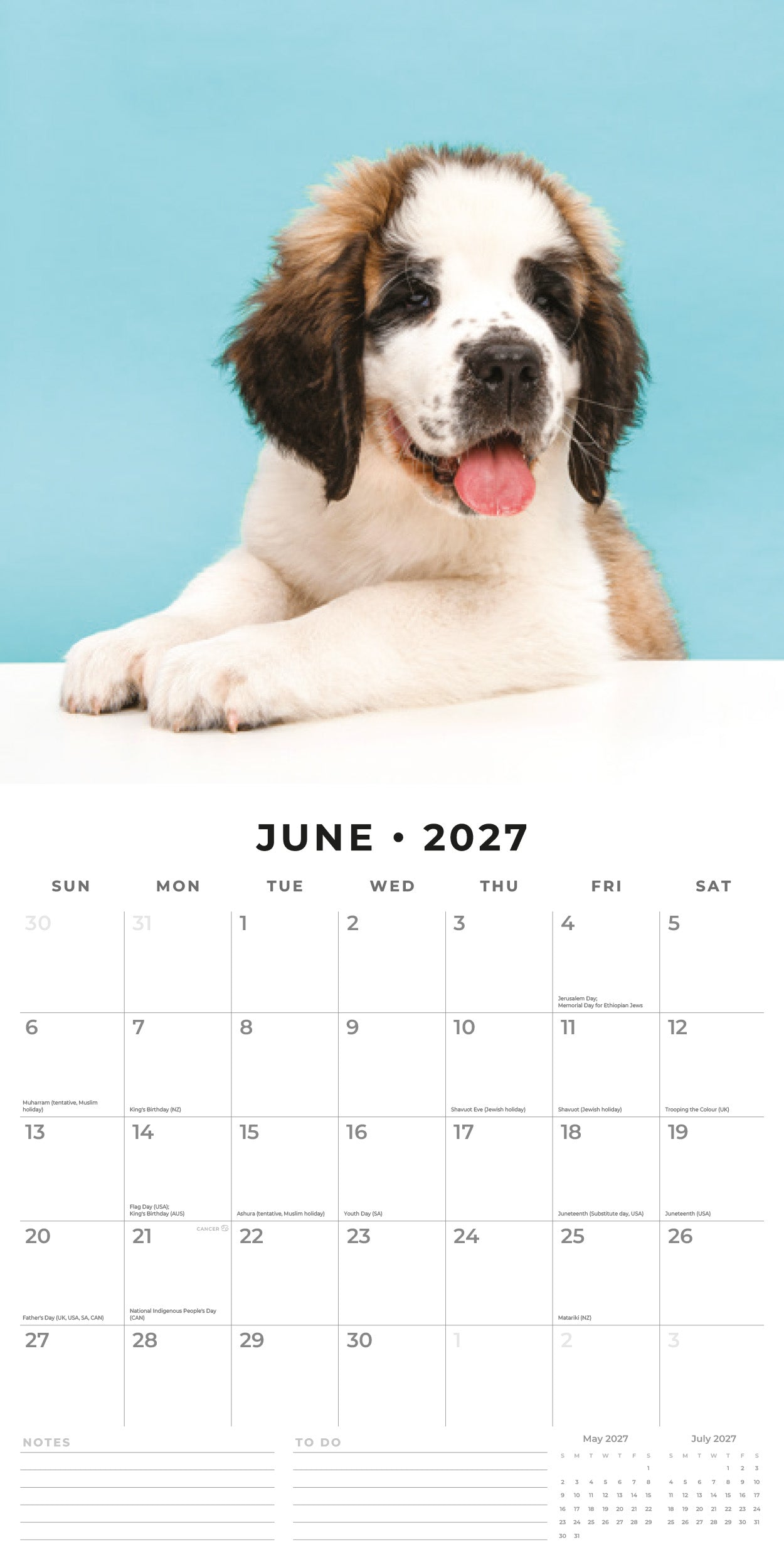 2027 Saint Bernards - Square Wall Calendar