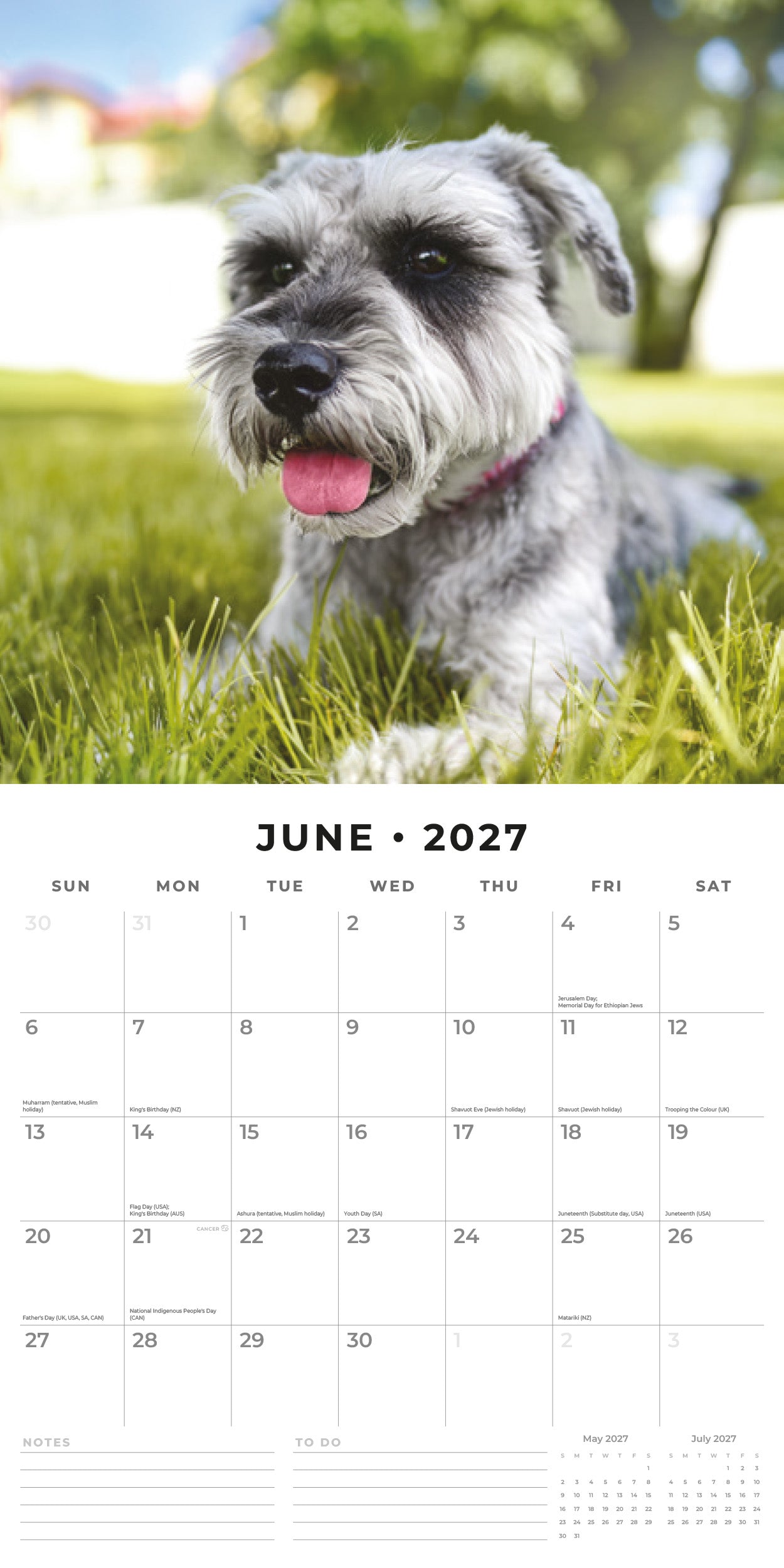 2027 Schnauzer - Square Wall Calendar
