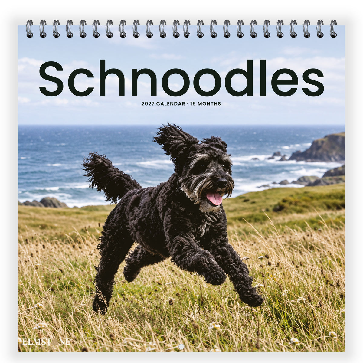 Schnoodles_-_649310203475_-_01-front-cover-white.jpg