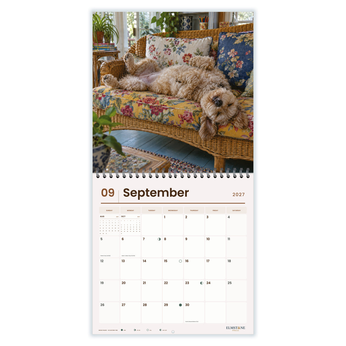 Schnoodles_-_649310203475_-_04-september-open-white.jpg