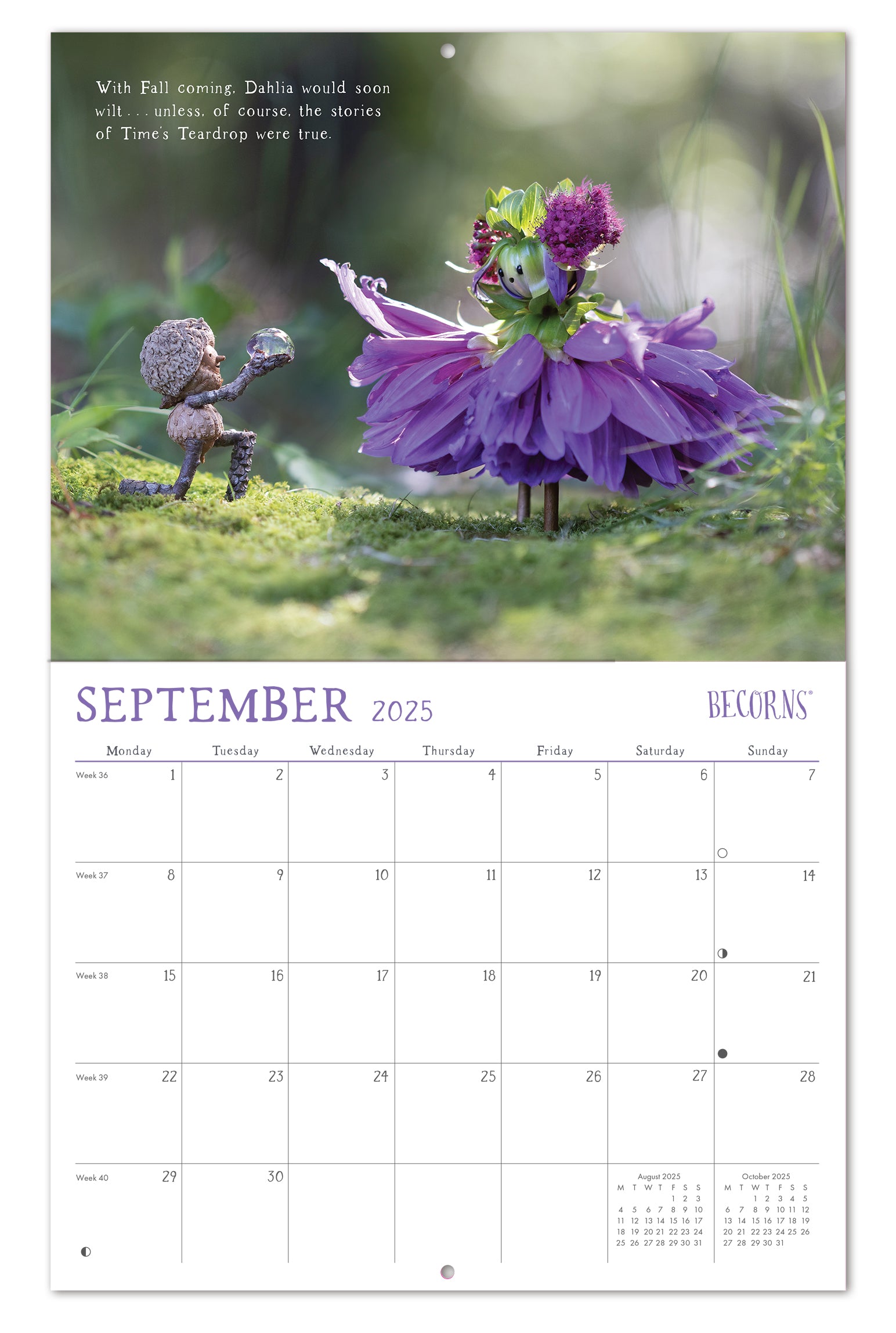 2025 Becorns The Art Of David M Bird - Wall Calendar