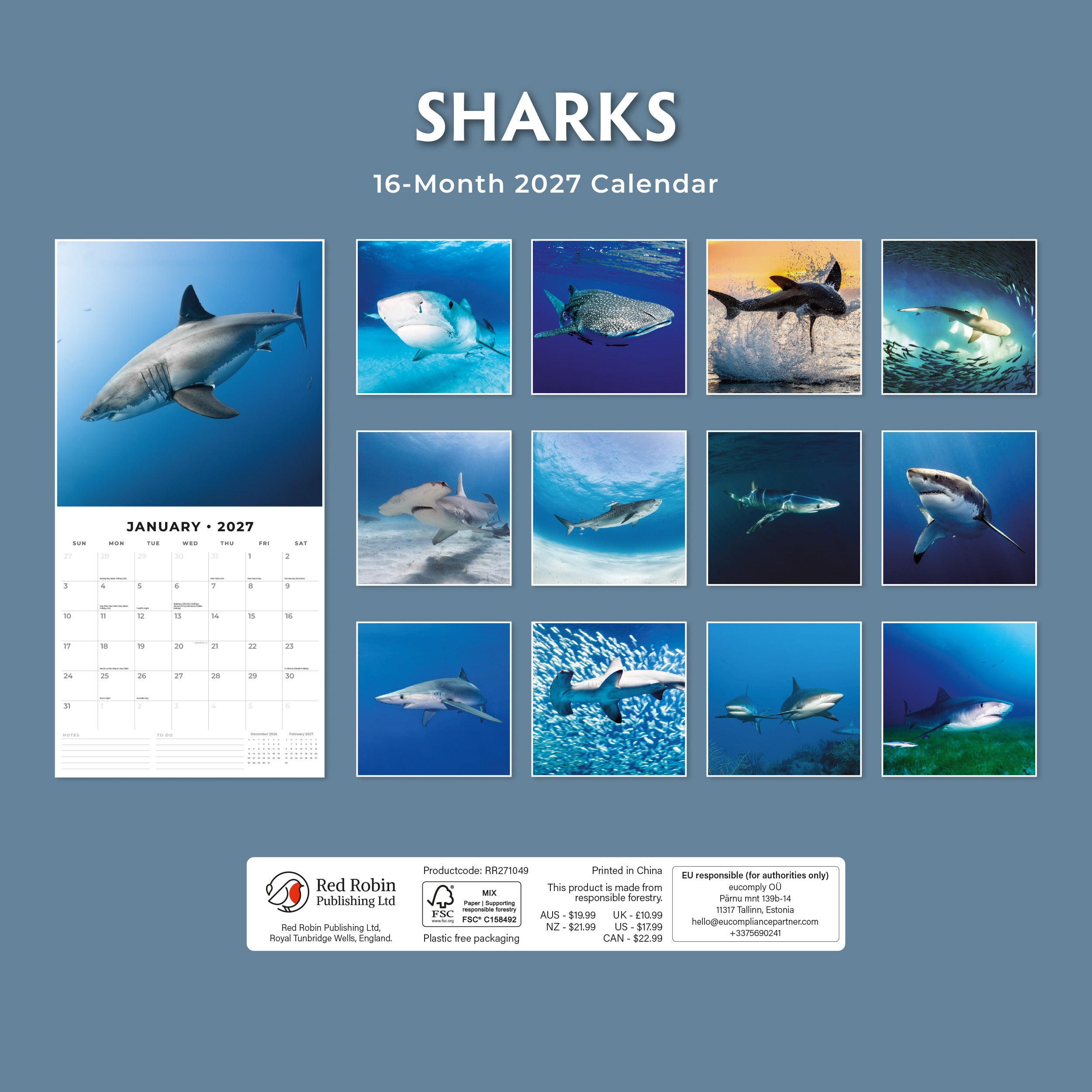 2027 Sharks - Square Wall Calendar