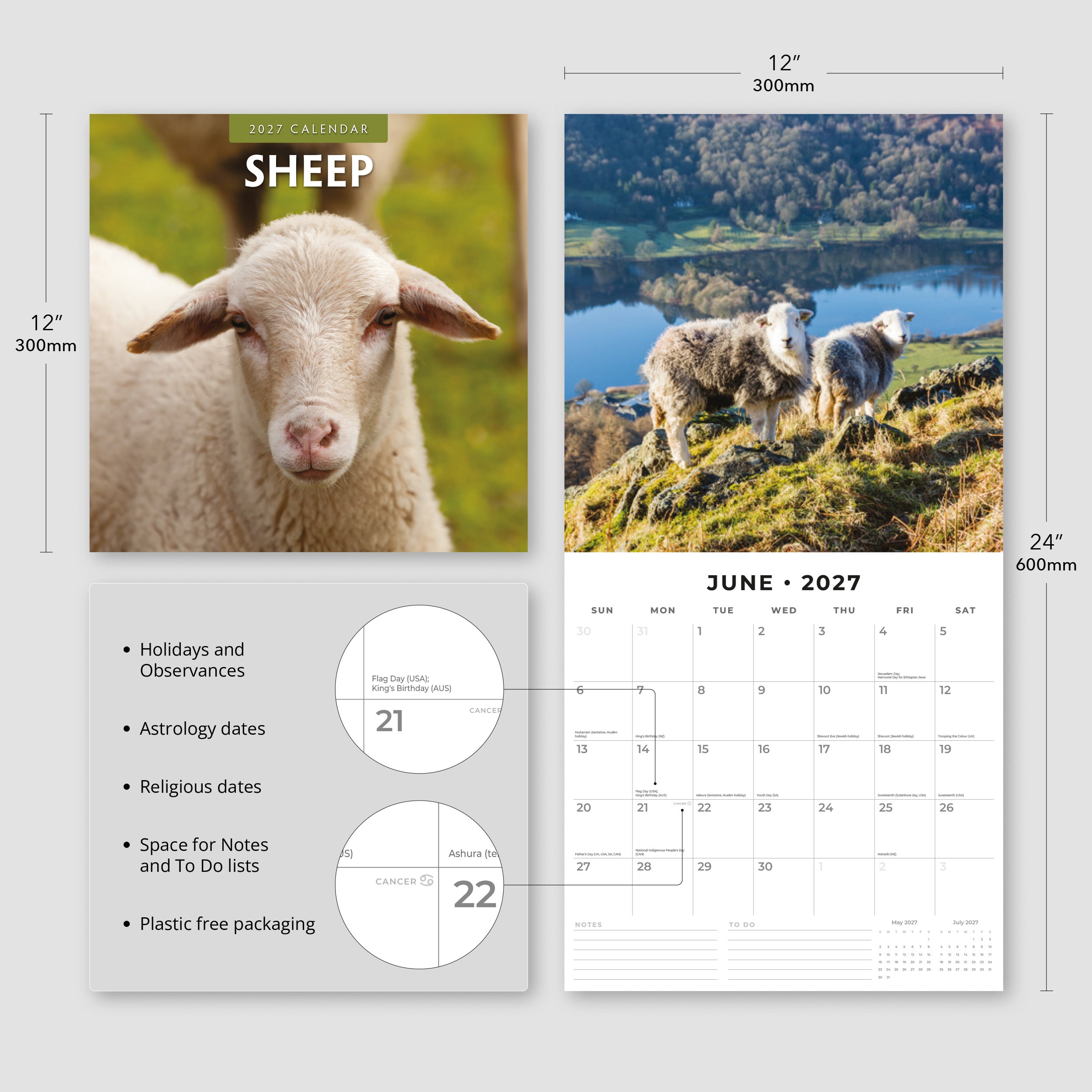 2027 Sheep - Square Wall Calendar