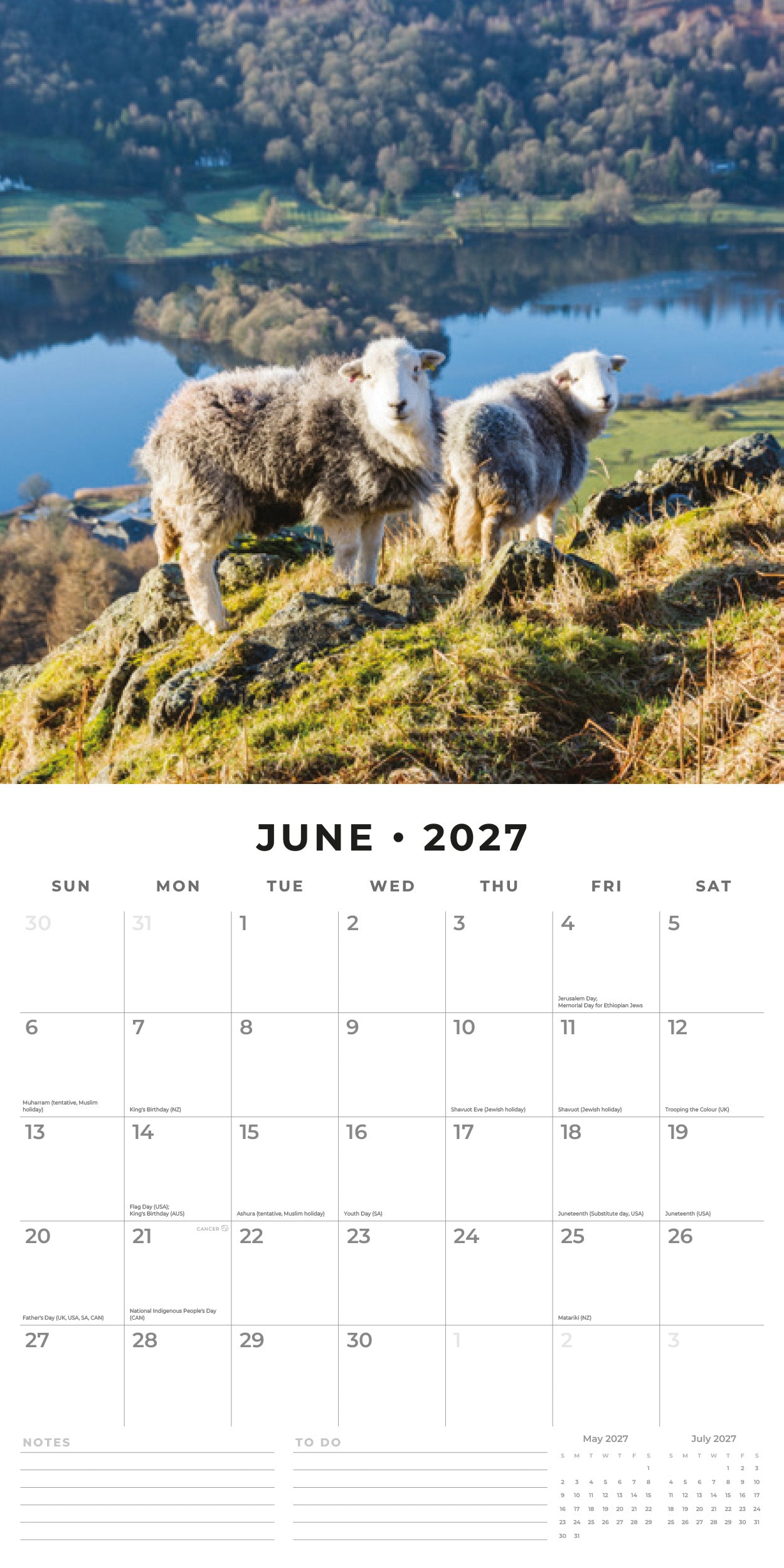2027 Sheep - Square Wall Calendar
