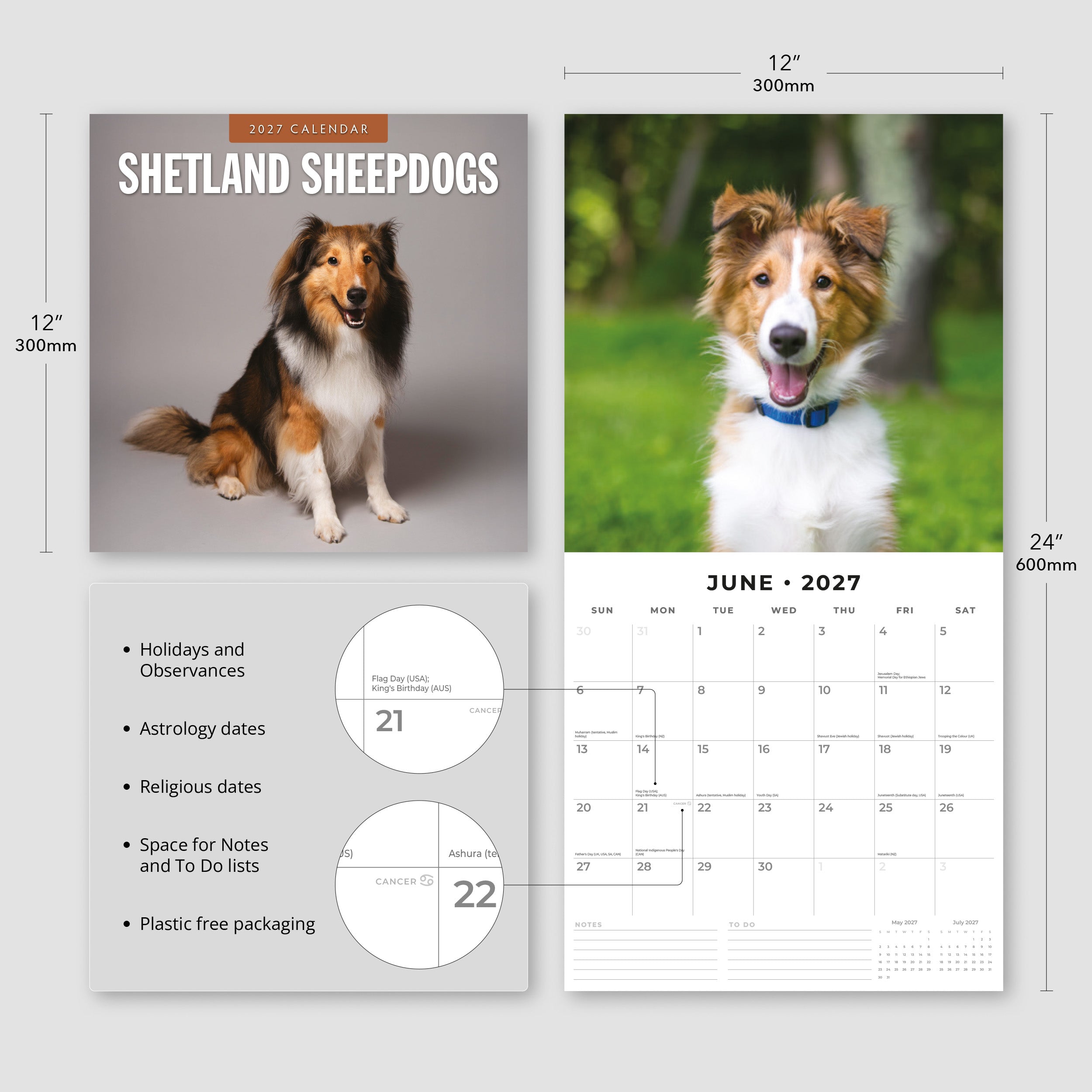 2027 Shetland Sheepdogs - Square Wall Calendar