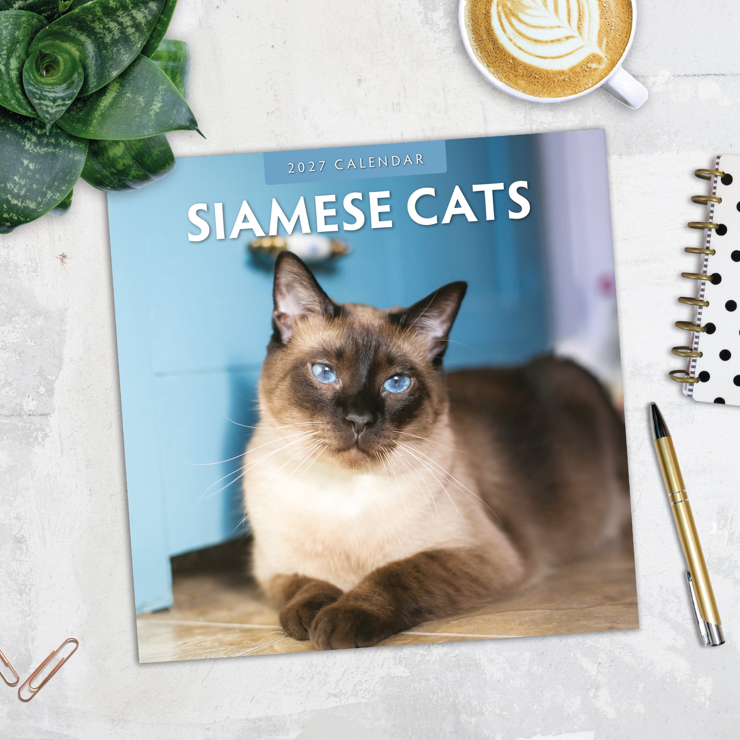 2027 Siamese Cats - Square Wall Calendar