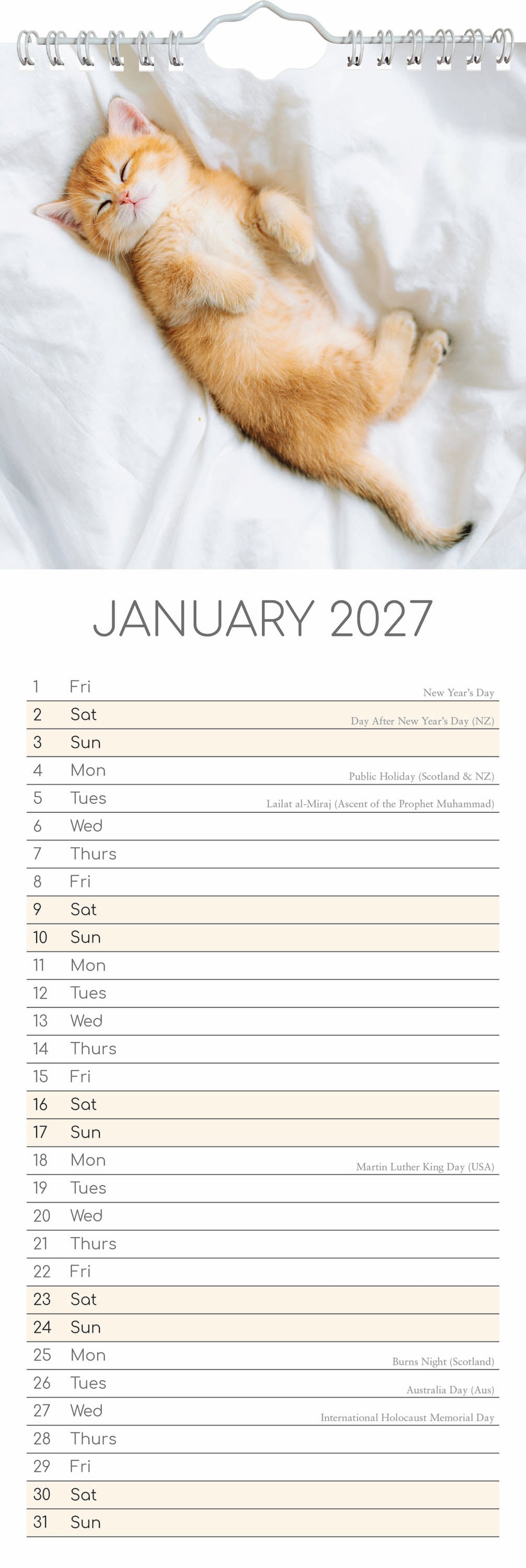 Slimline_Animals_Kitten_Love_2027_Jan.jpg