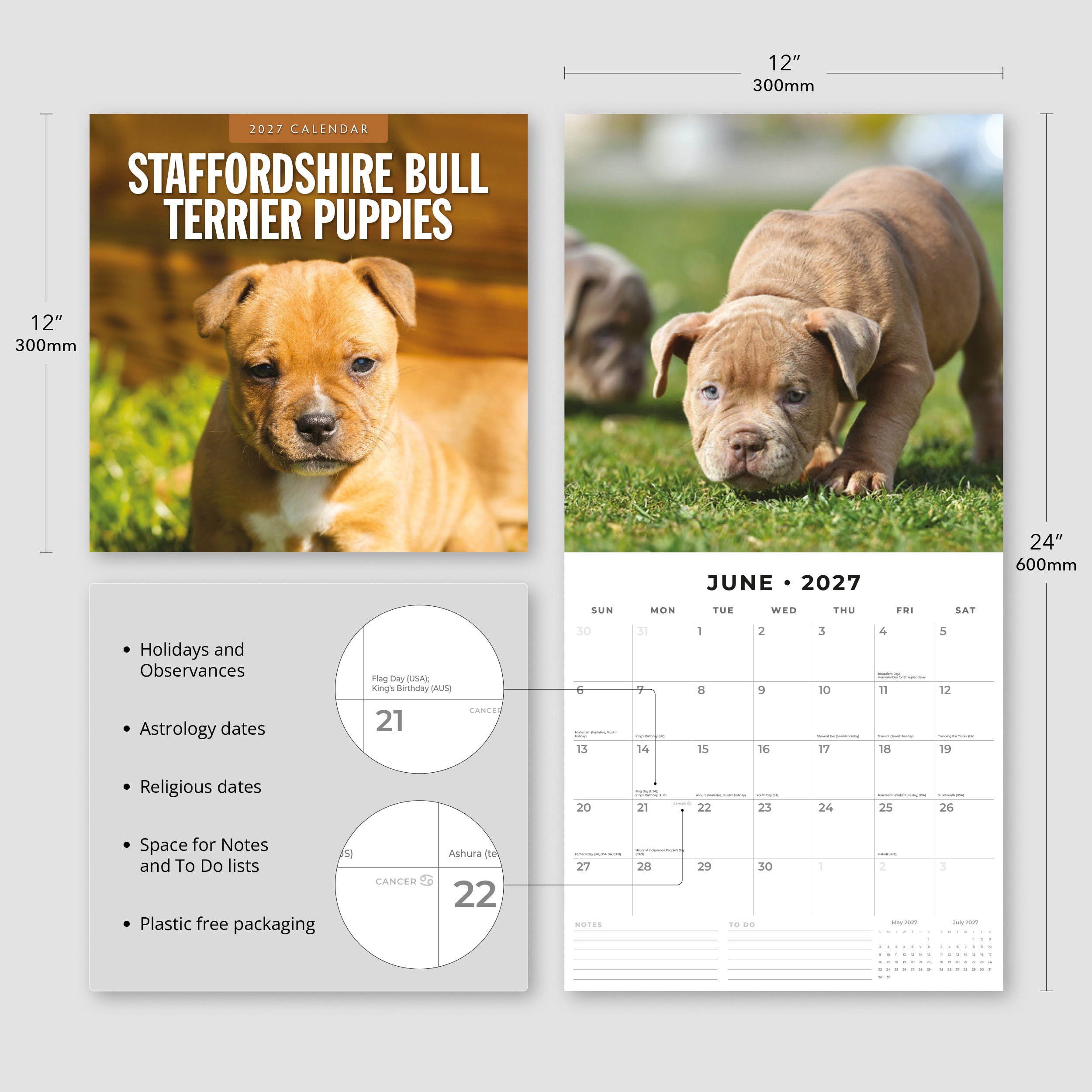 2027 Staffordshire Bull Terrier Puppies - Square Wall Calendar