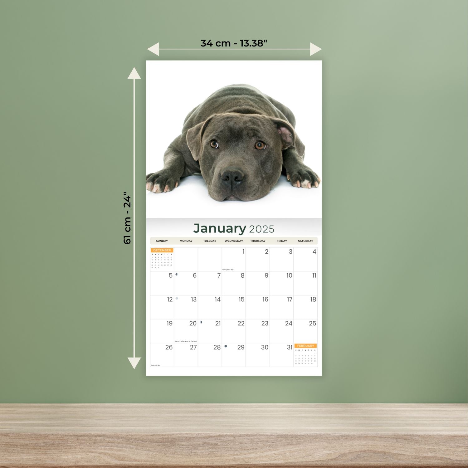 2025 Staffordshire Bull Terriers - Deluxe Wall Calendar