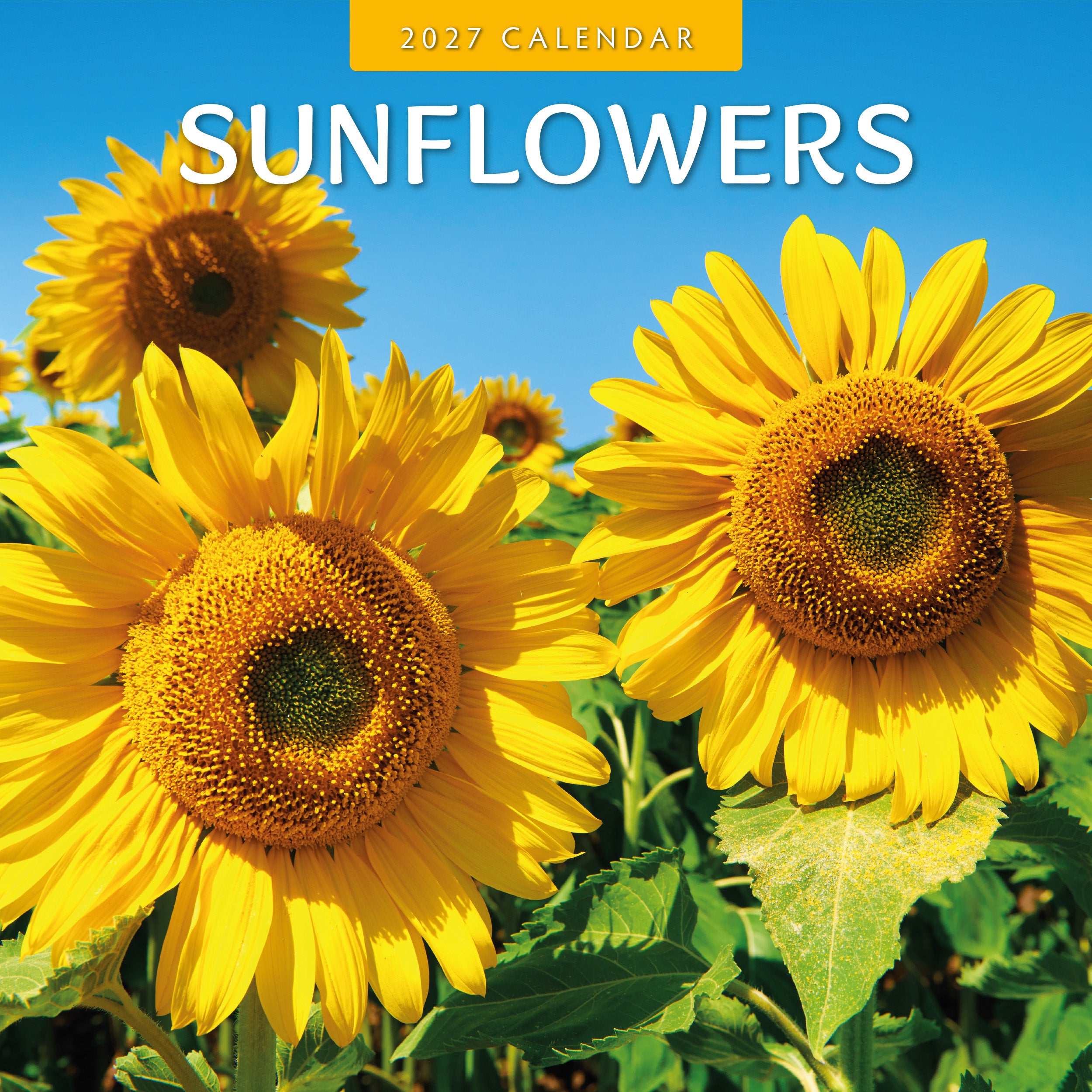 2027 Sunflowers - Square Wall Calendar