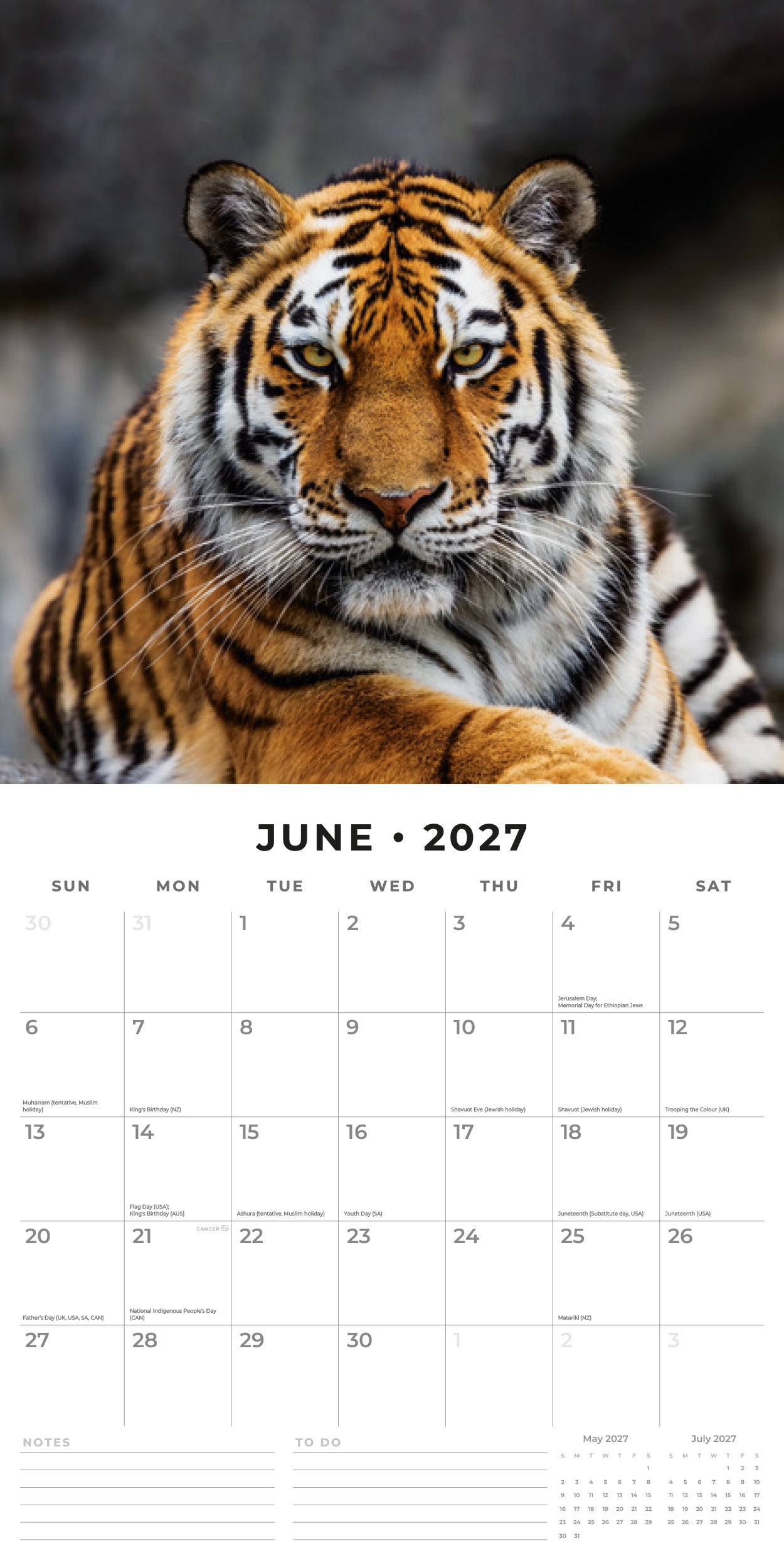2027 Tigers - Square Wall Calendar