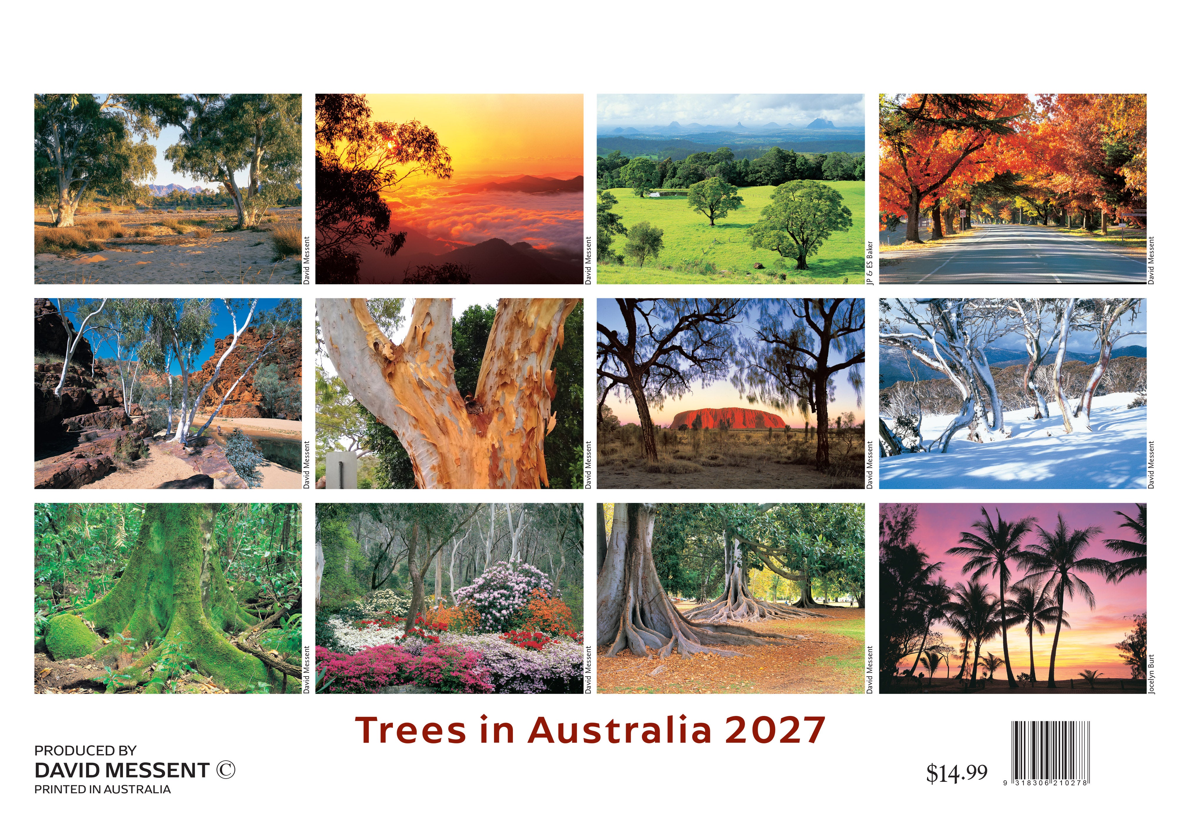 Trees_Back_9318306210278.jpg