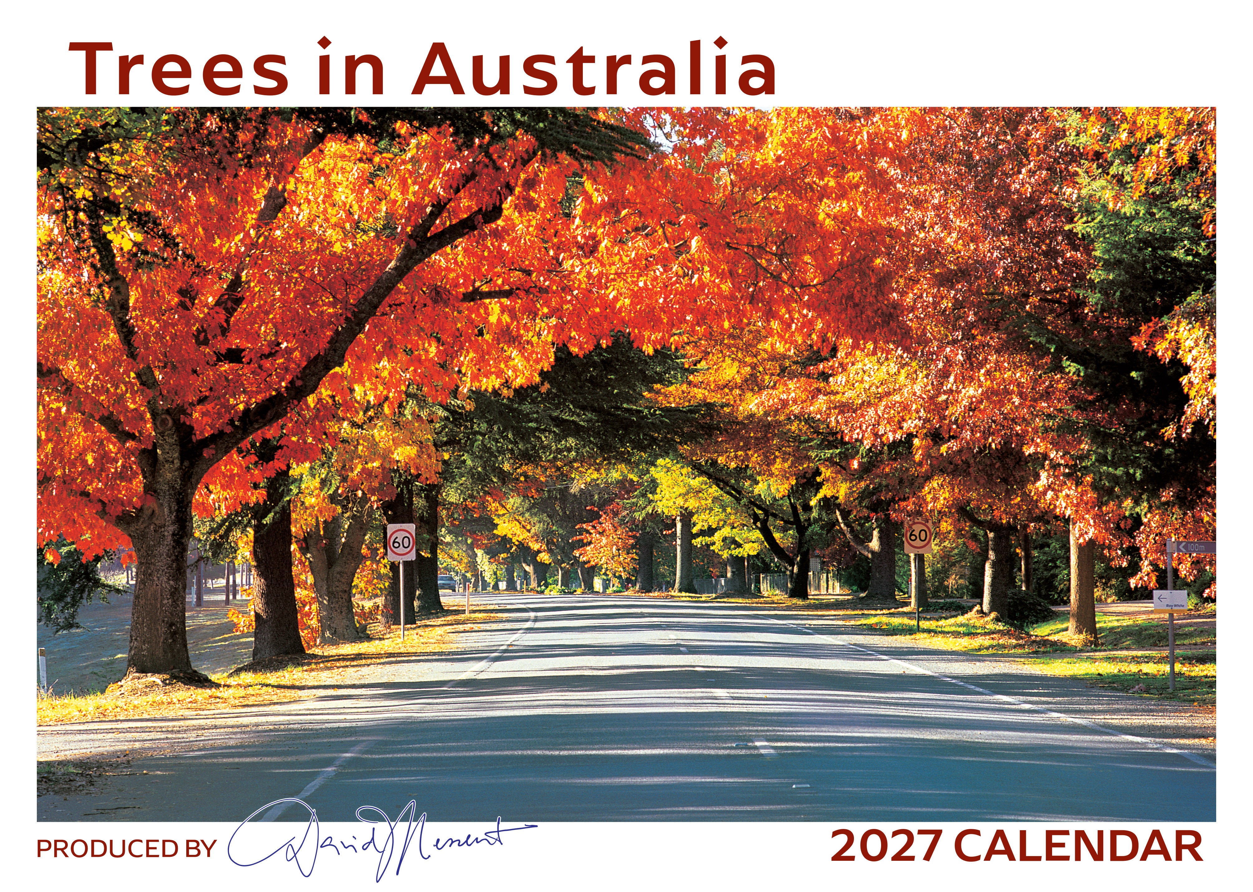 Trees_Front_9318306210278.jpg