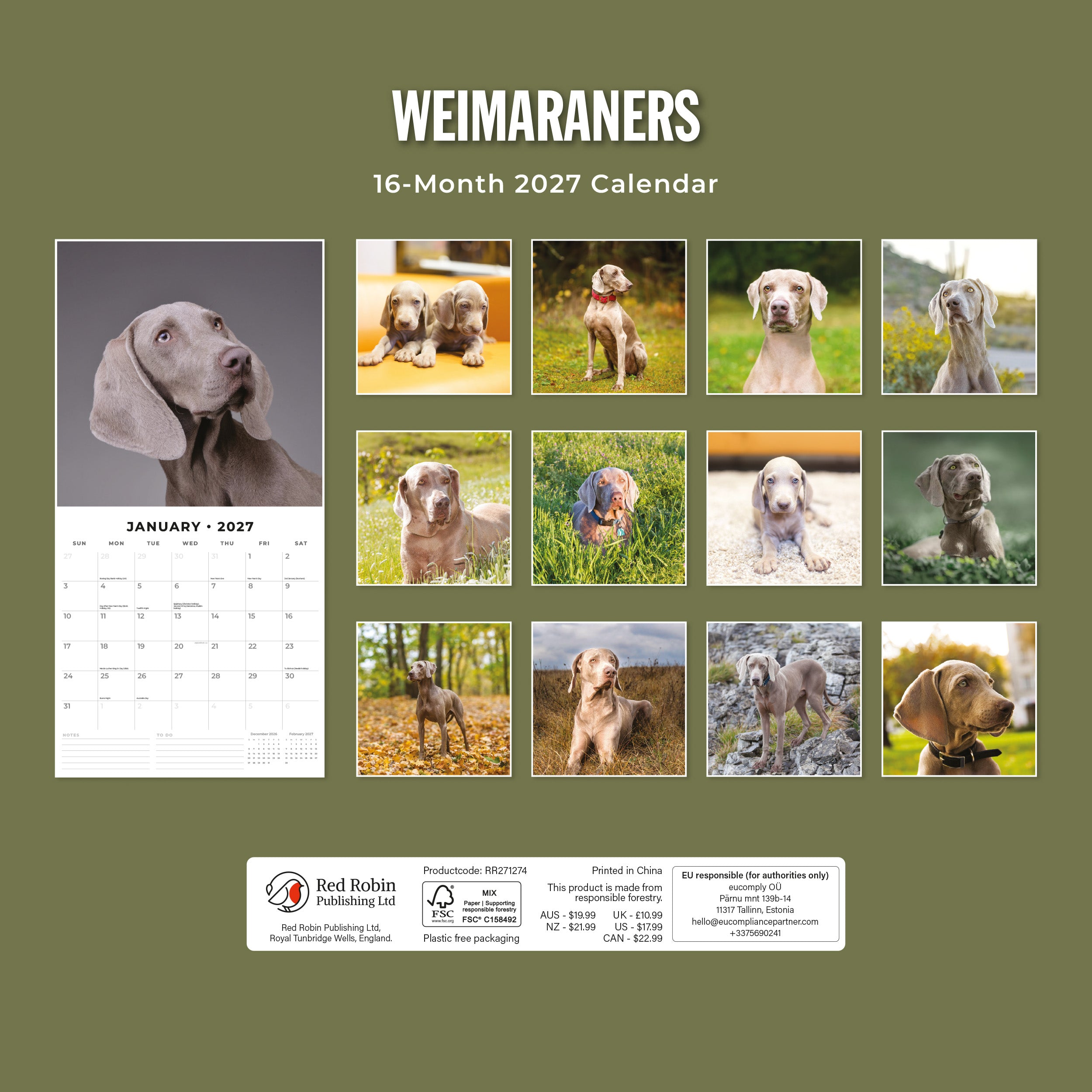 2027 Weimaraners - Square Wall Calendar