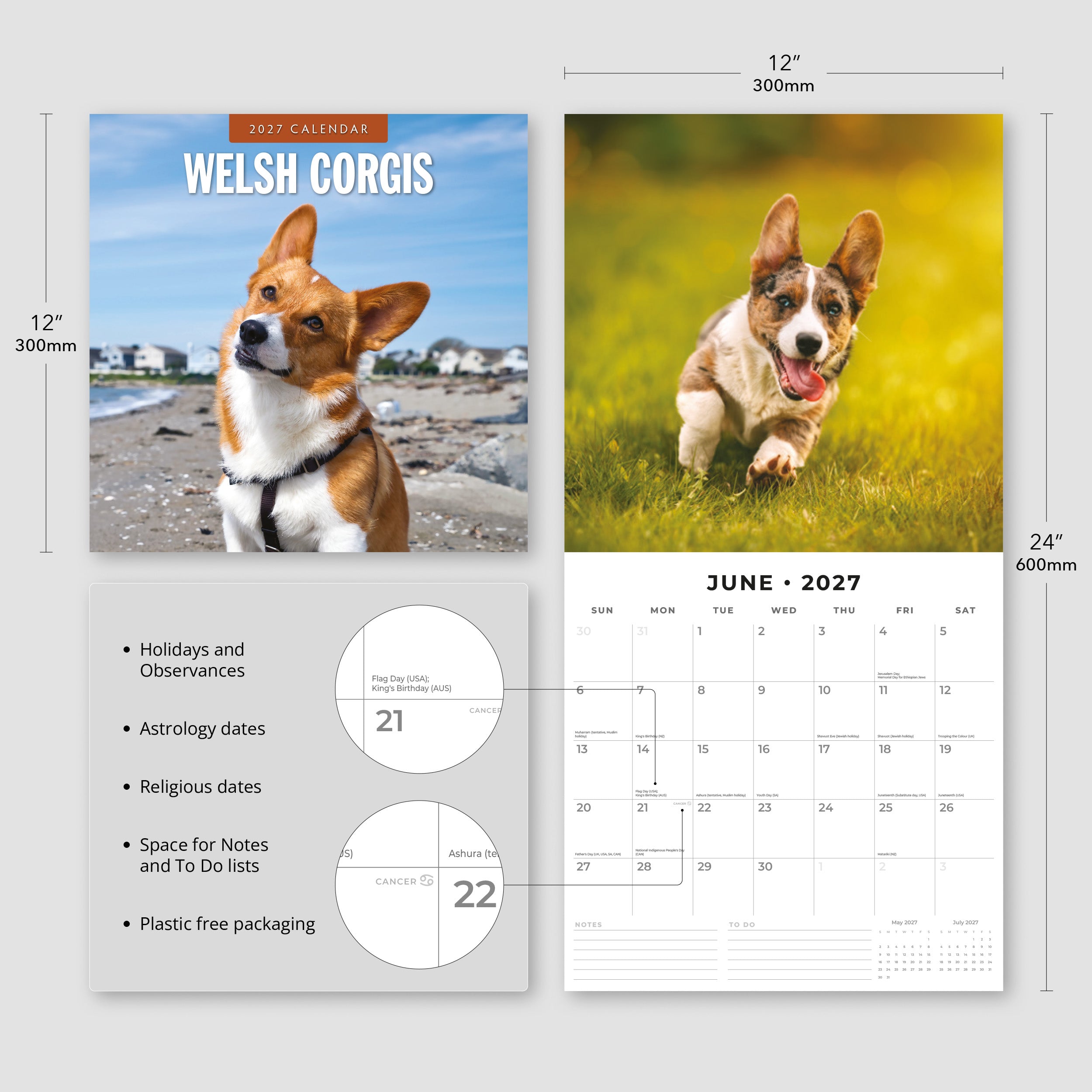 2027 Welsh Corgis - Square Wall Calendar