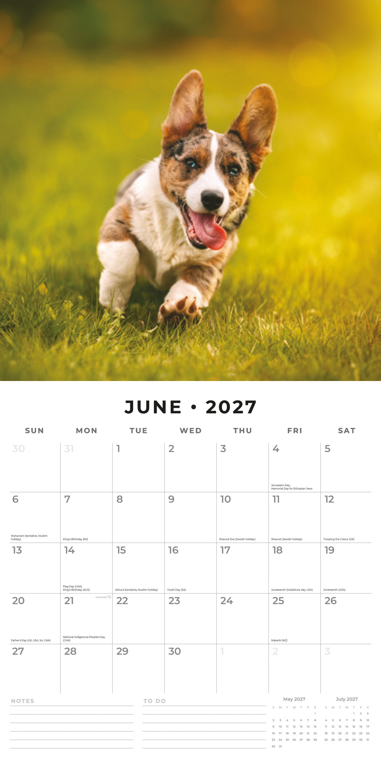 2027 Welsh Corgis - Square Wall Calendar